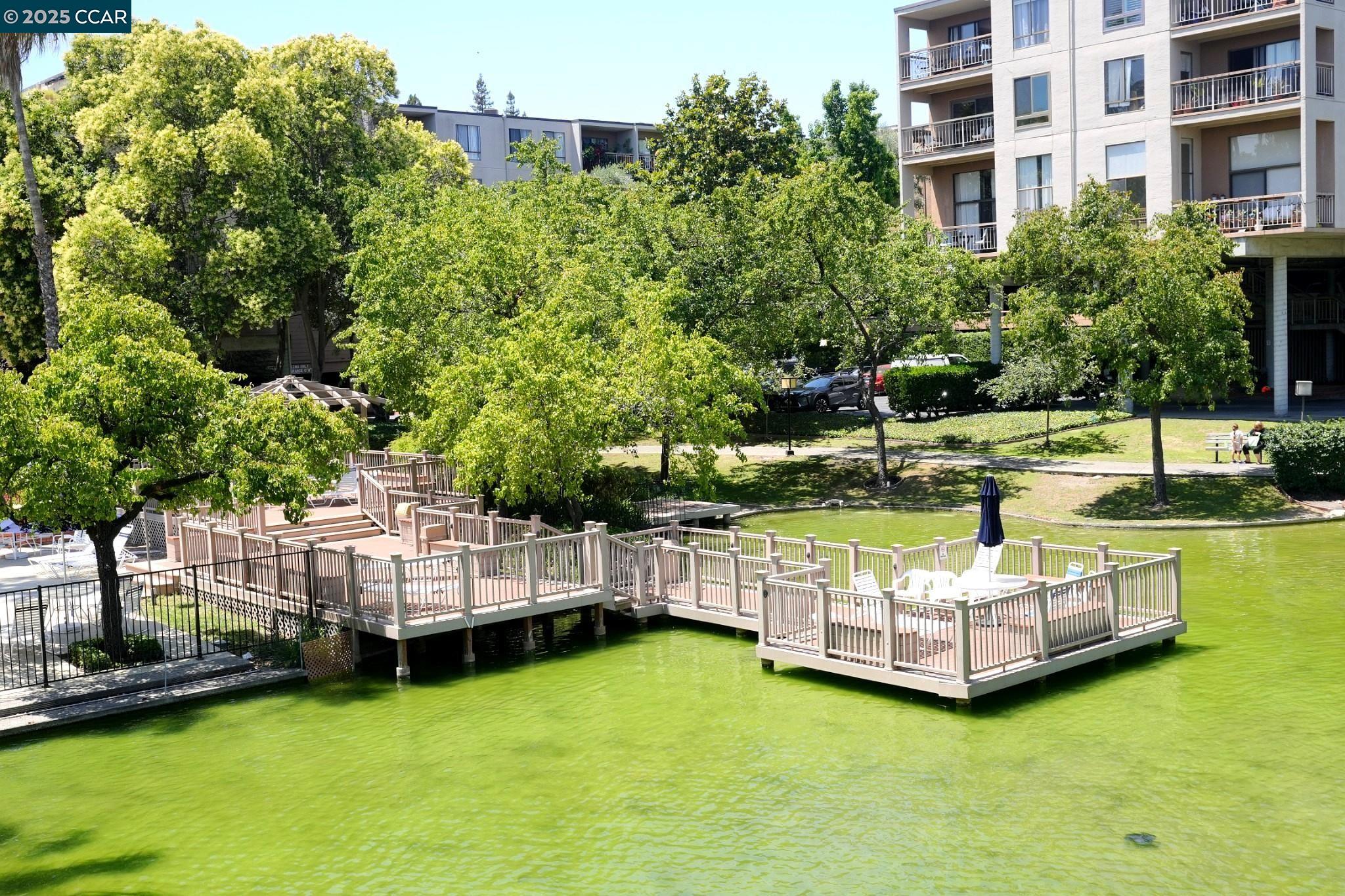 440 N Civic Dr # 203, Walnut Creek, California 94596, 1 Bedroom Bedrooms, 4 Rooms Rooms,1 BathroomBathrooms,Residential,For Sale,440 N Civic Dr # 203,41103395