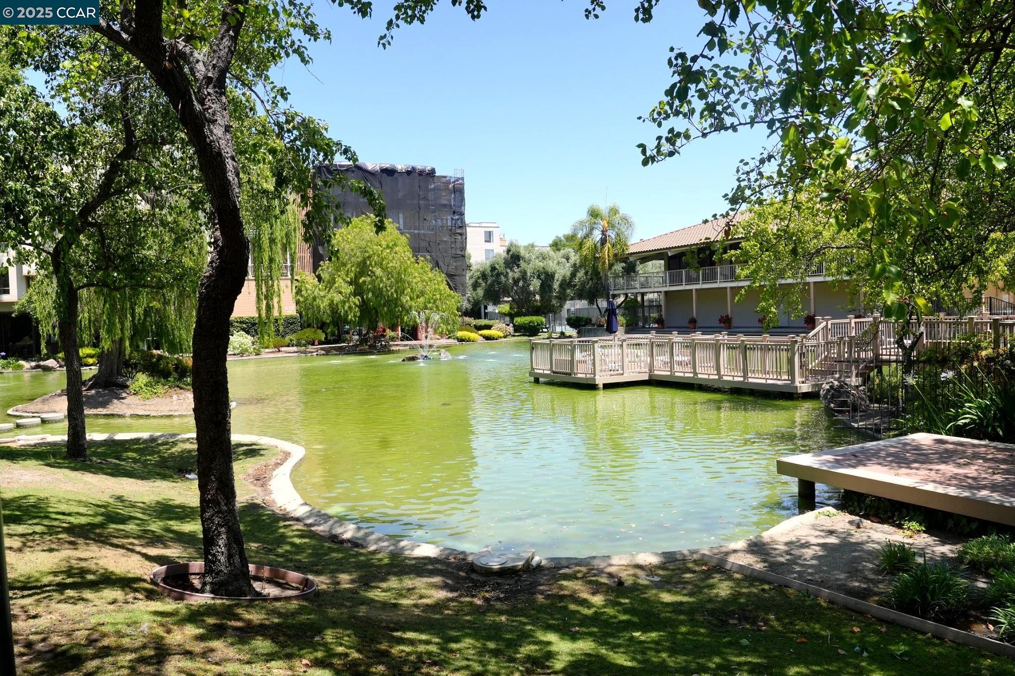 440 N Civic Dr # 203, Walnut Creek, California 94596, 1 Bedroom Bedrooms, 4 Rooms Rooms,1 BathroomBathrooms,Residential,For Sale,440 N Civic Dr # 203,41103395