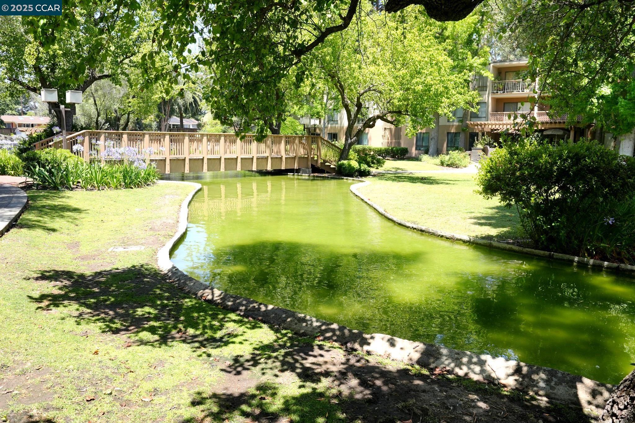 440 N Civic Dr # 203, Walnut Creek, California 94596, 1 Bedroom Bedrooms, 4 Rooms Rooms,1 BathroomBathrooms,Residential,For Sale,440 N Civic Dr # 203,41103395