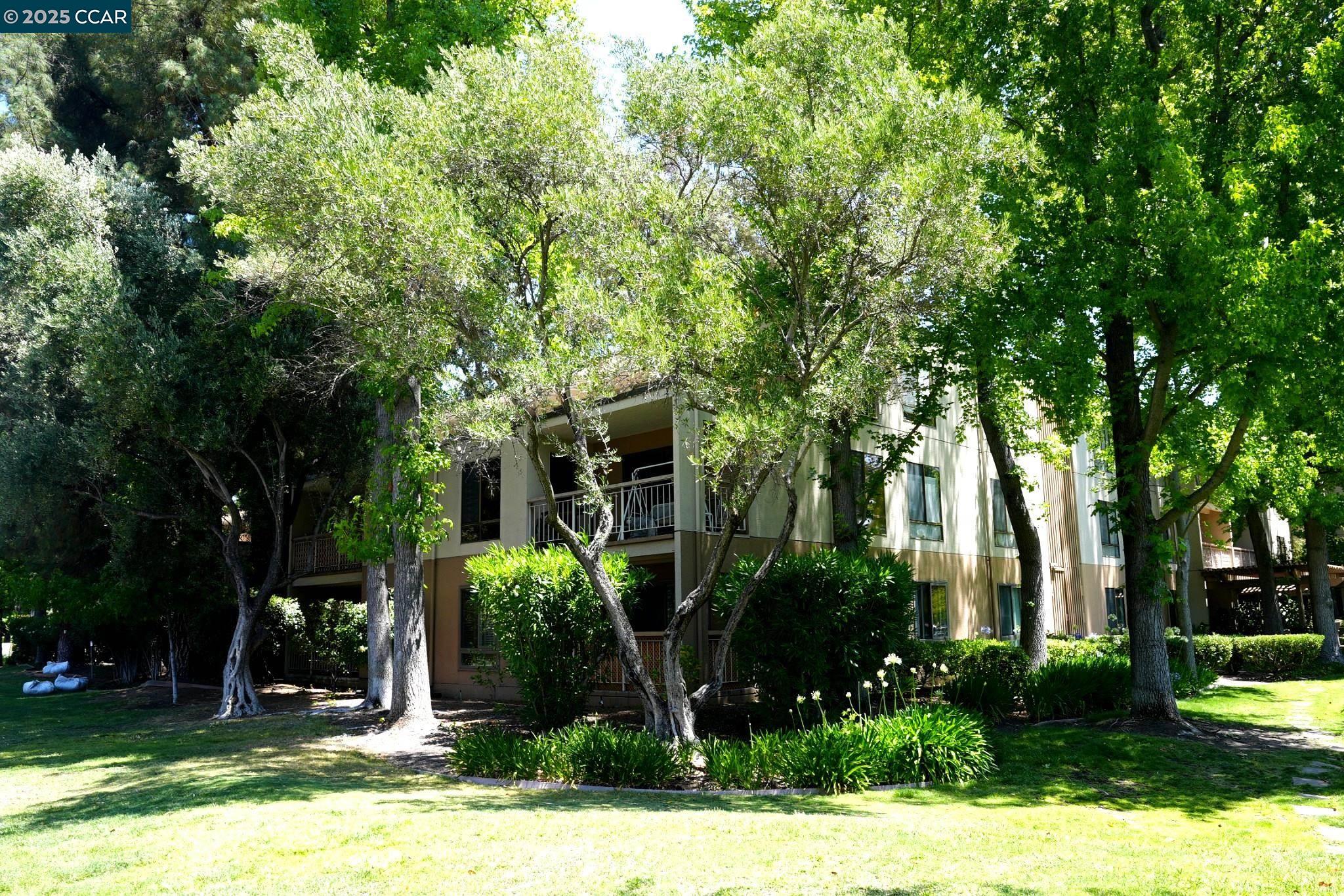 440 N Civic Dr # 203, Walnut Creek, California 94596, 1 Bedroom Bedrooms, 4 Rooms Rooms,1 BathroomBathrooms,Residential,For Sale,440 N Civic Dr # 203,41103395