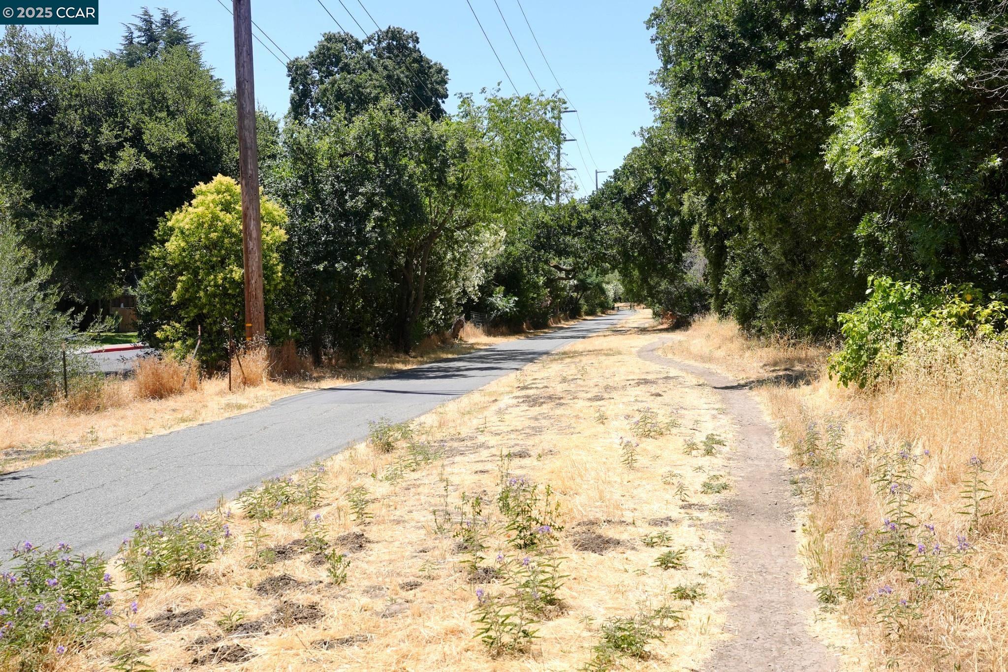 440 N Civic Dr # 203, Walnut Creek, California 94596, 1 Bedroom Bedrooms, 4 Rooms Rooms,1 BathroomBathrooms,Residential,For Sale,440 N Civic Dr # 203,41103395