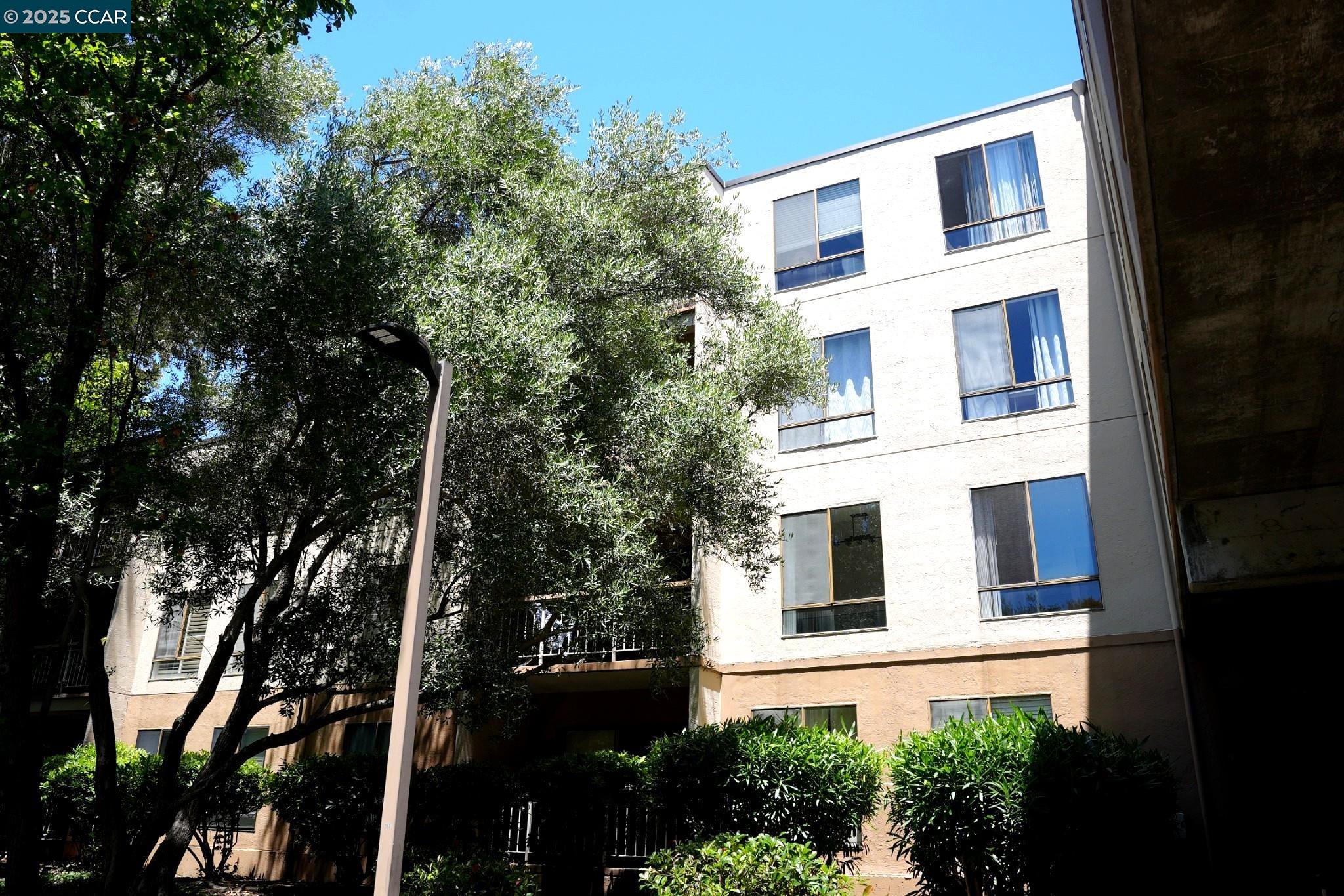 440 N Civic Dr # 203, Walnut Creek, California 94596, 1 Bedroom Bedrooms, 4 Rooms Rooms,1 BathroomBathrooms,Residential,For Sale,440 N Civic Dr # 203,41103395