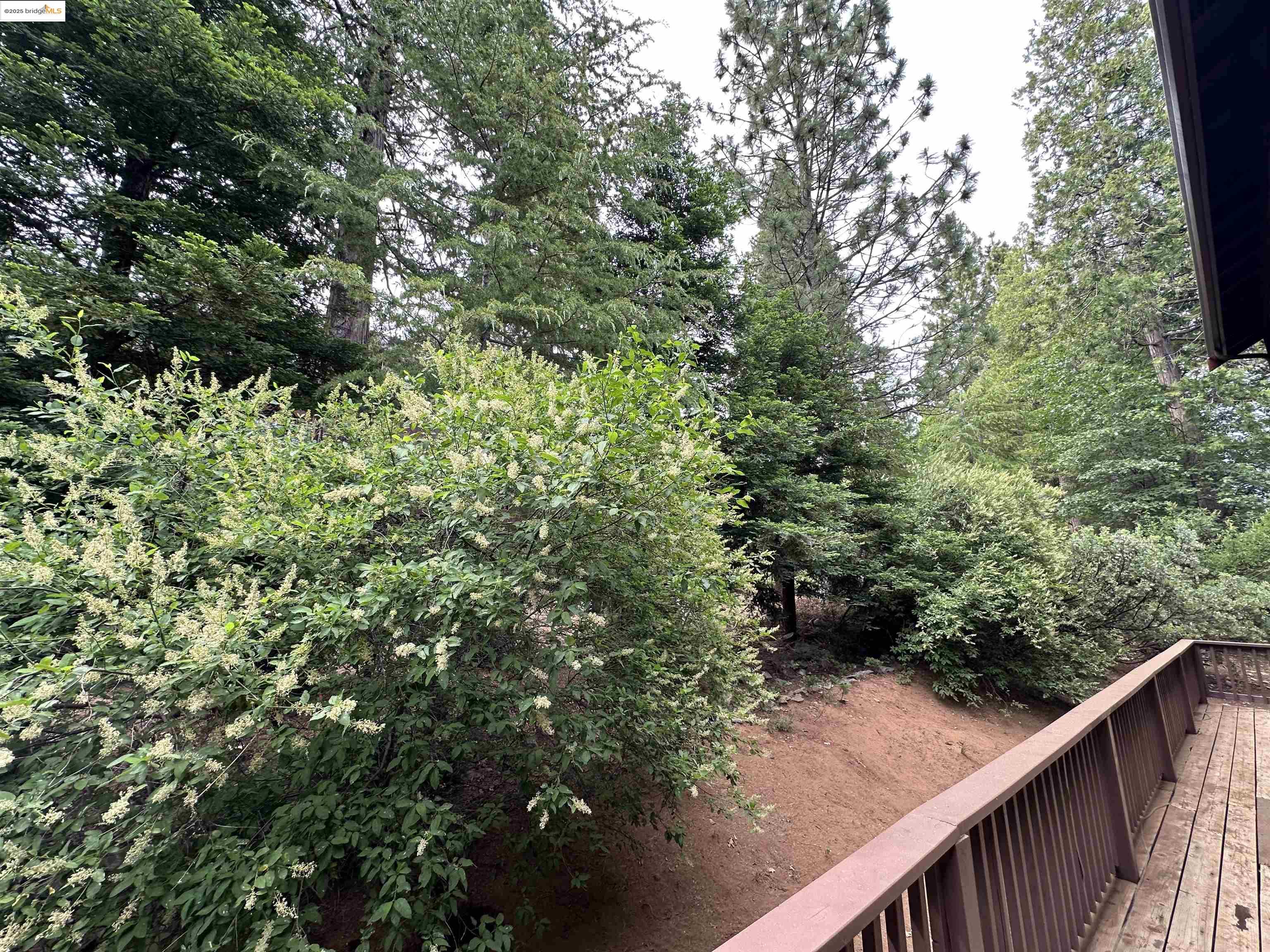 150 Waterwheel Way, Arnold, California 95223, 4 Bedrooms Bedrooms, 7 Rooms Rooms,2 BathroomsBathrooms,Residential,For Sale,150 Waterwheel Way,41103399