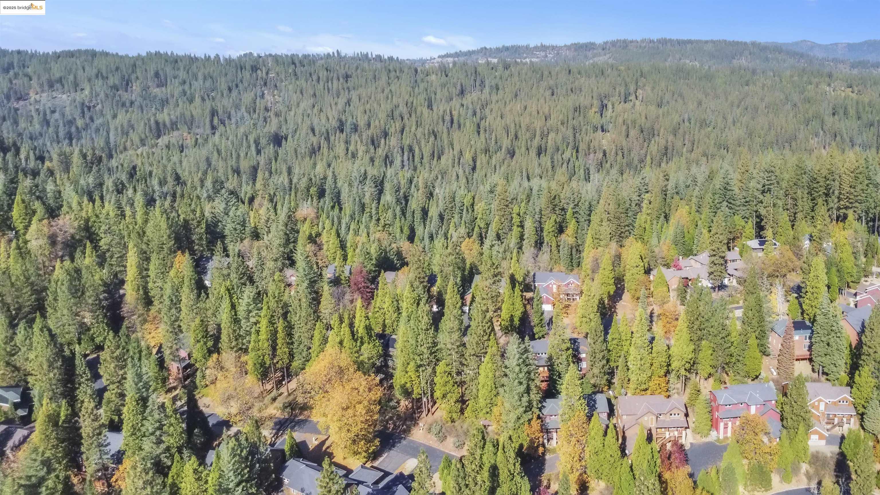 Detail Gallery Image 49 of 52 For 150 Waterwheel Way, Arnold,  CA 95223 - 3 Beds | 2/1 Baths