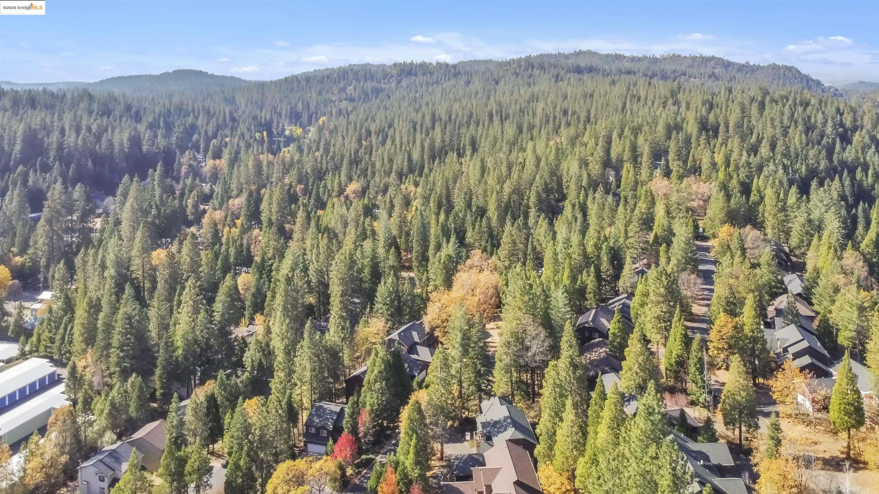 Detail Gallery Image 51 of 52 For 150 Waterwheel Way, Arnold,  CA 95223 - 3 Beds | 2/1 Baths