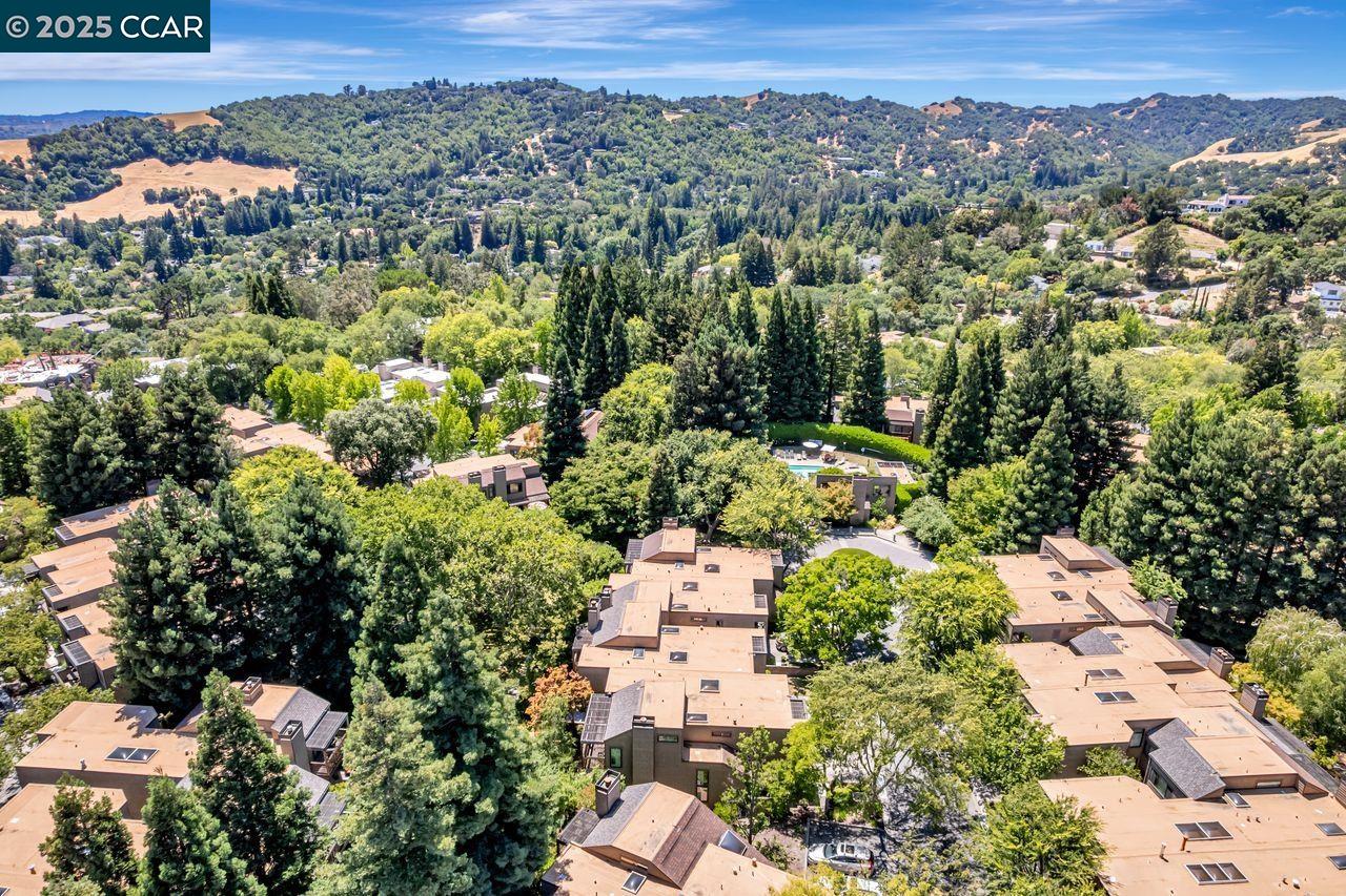 Detail Gallery Image 18 of 60 For 568 Monarch Ridge Dr, Walnut Creek,  CA 94597 - 2 Beds | 2/1 Baths