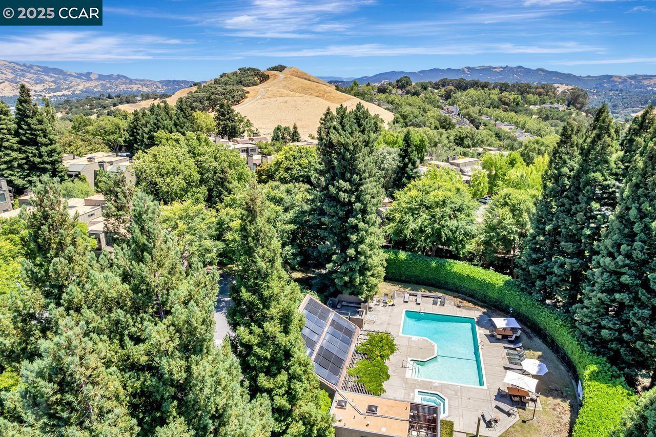 Detail Gallery Image 24 of 60 For 568 Monarch Ridge Dr, Walnut Creek,  CA 94597 - 2 Beds | 2/1 Baths