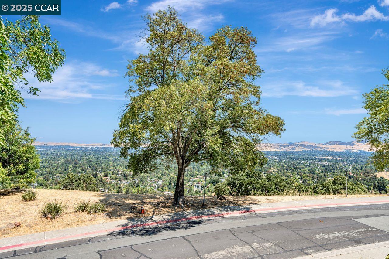 Detail Gallery Image 54 of 60 For 568 Monarch Ridge Dr, Walnut Creek,  CA 94597 - 2 Beds | 2/1 Baths