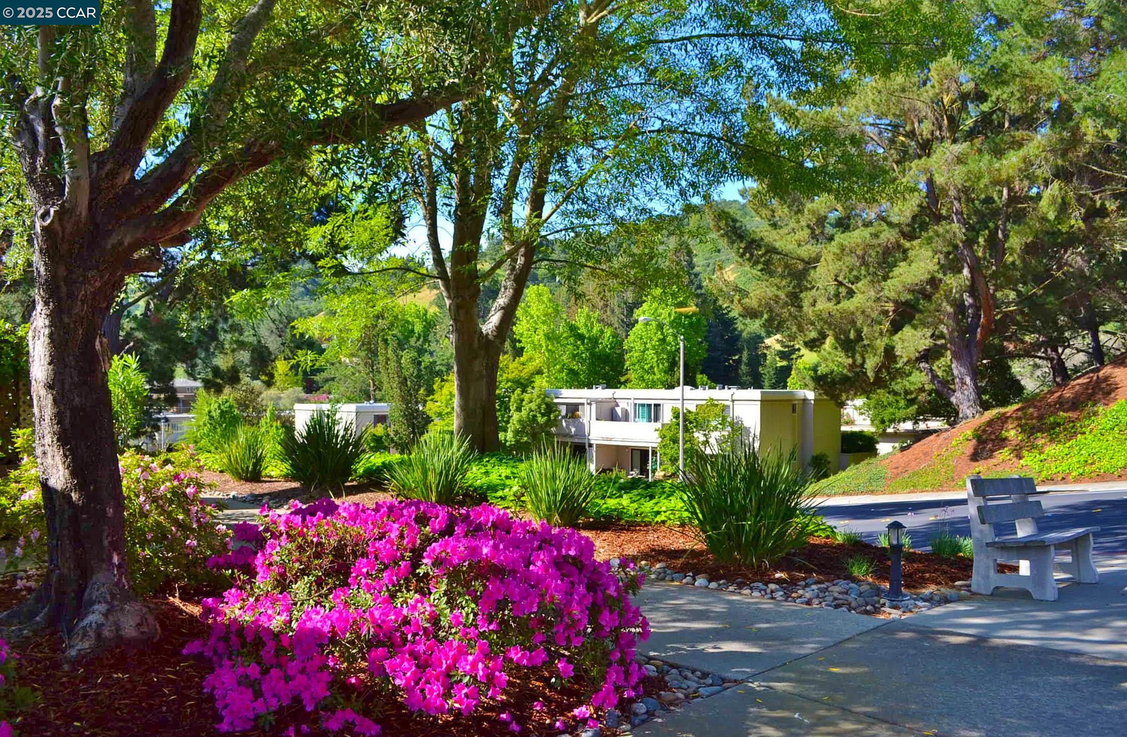1332 Canyonwood Ct # 2, Walnut Creek, California 94595, 2 Bedrooms Bedrooms, 6 Rooms Rooms,2 BathroomsBathrooms,Residential,For Sale,1332 Canyonwood Ct # 2,41103404
