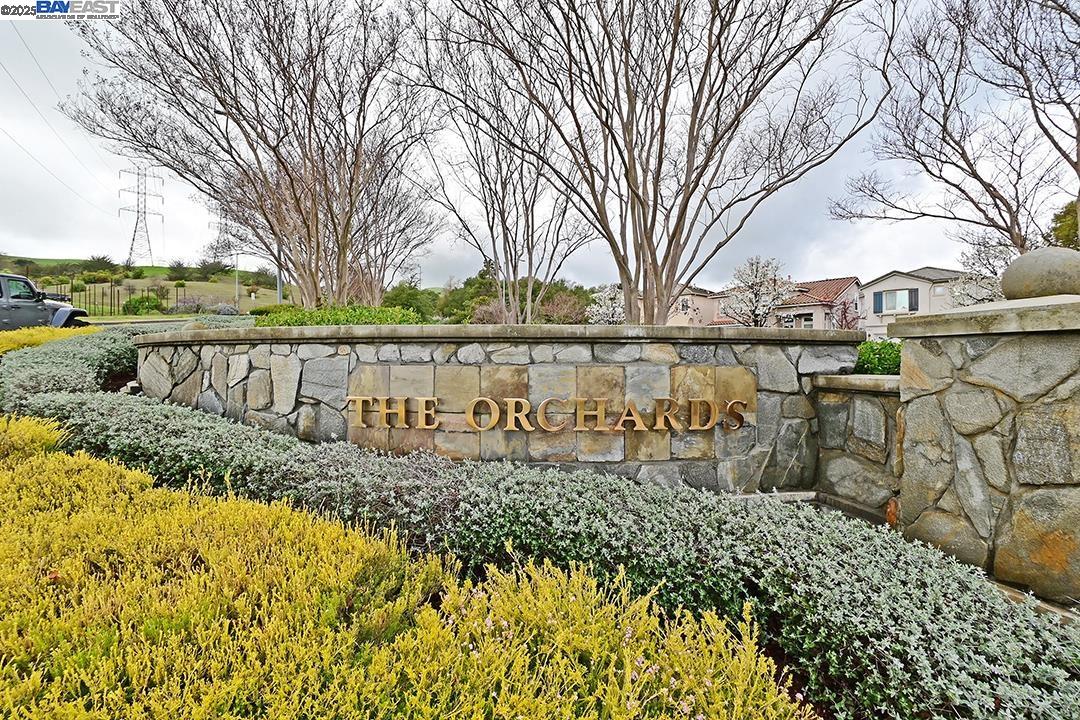 10 Almond Orchard Ln, San Ramon, California 94583, 4 Bedrooms Bedrooms, 7 Rooms Rooms,2 BathroomsBathrooms,Residential,For Sale,10 Almond Orchard Ln,41103405