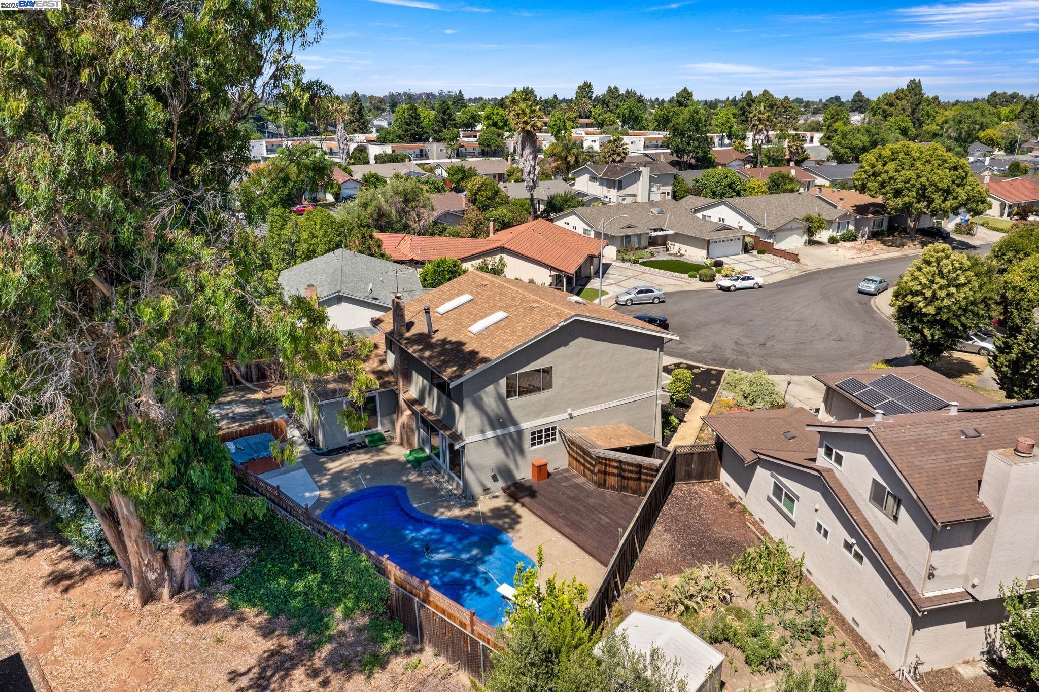 36092 Blair Pl, Fremont, California 94536, 5 Bedrooms Bedrooms, 10 Rooms Rooms,3 BathroomsBathrooms,Residential,For Sale,36092 Blair Pl,41103408