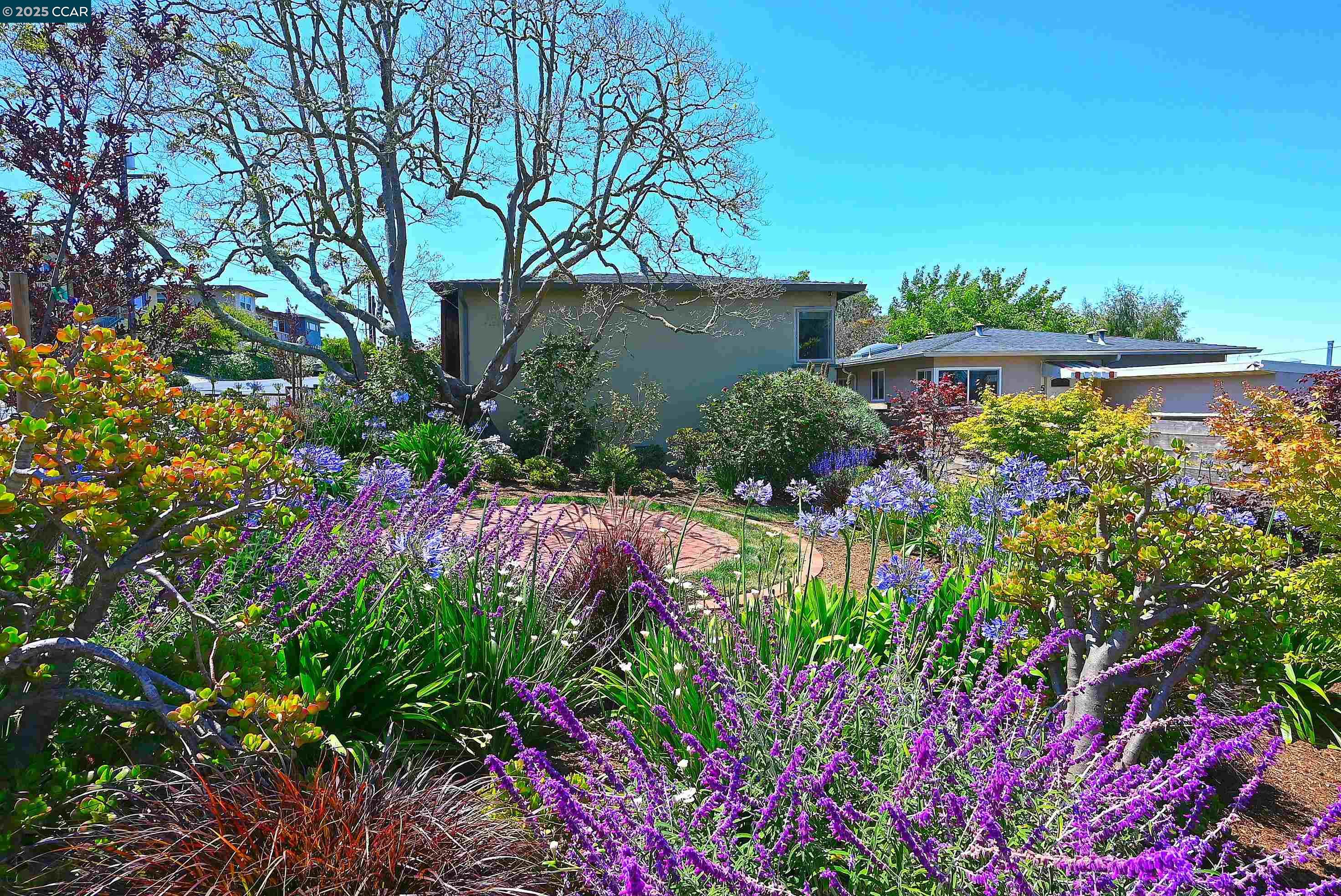 5880 Hazel Ave, Richmond, California 94805, 2 Bedrooms Bedrooms, 7 Rooms Rooms,1 BathroomBathrooms,Residential,For Sale,5880 Hazel Ave,41103418