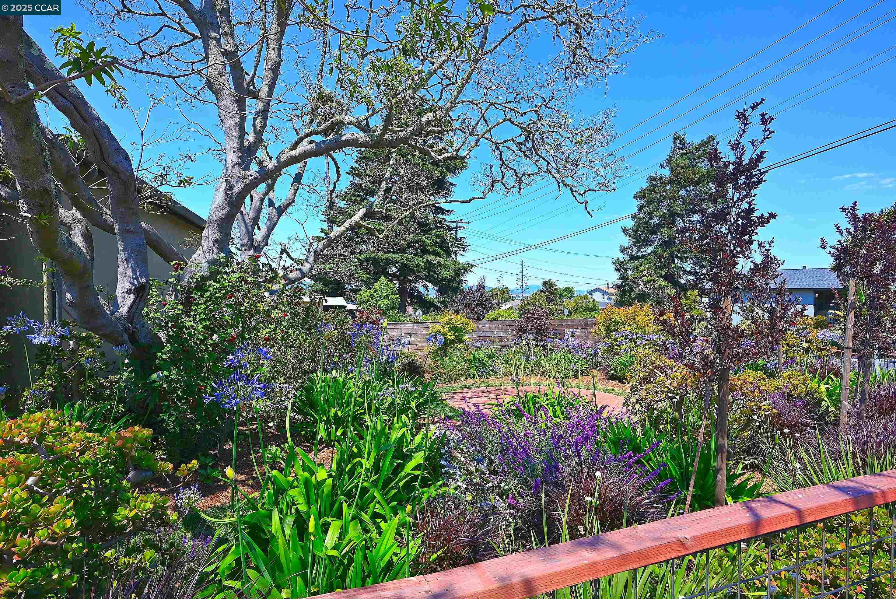 5880 Hazel Ave, Richmond, California 94805, 2 Bedrooms Bedrooms, 7 Rooms Rooms,1 BathroomBathrooms,Residential,For Sale,5880 Hazel Ave,41103418