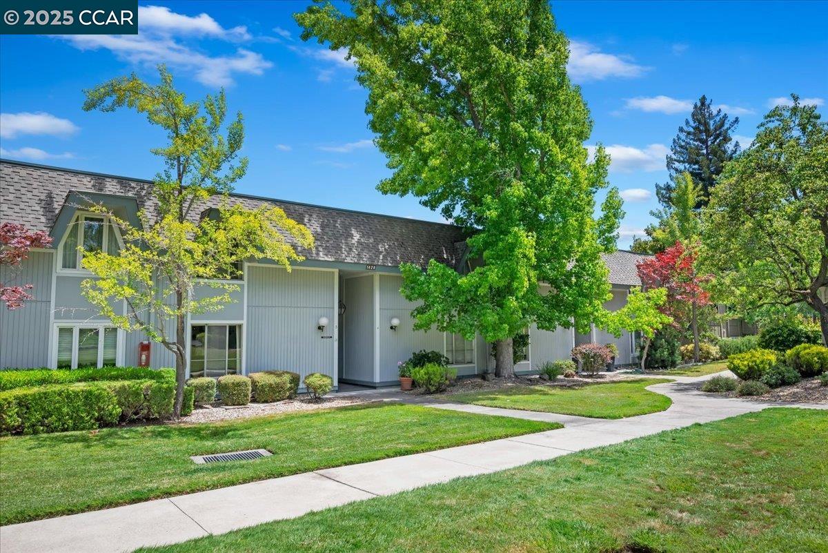1429 Skycrest Dr # 3, Walnut Creek, California 94595, 3 Bedrooms Bedrooms, 6 Rooms Rooms,2 BathroomsBathrooms,Residential,For Sale,1429 Skycrest Dr # 3,41103423