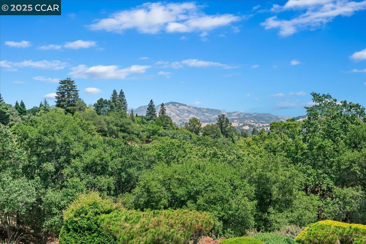 1429 Skycrest Dr # 3, Walnut Creek, California 94595, 3 Bedrooms Bedrooms, 6 Rooms Rooms,2 BathroomsBathrooms,Residential,For Sale,1429 Skycrest Dr # 3,41103423