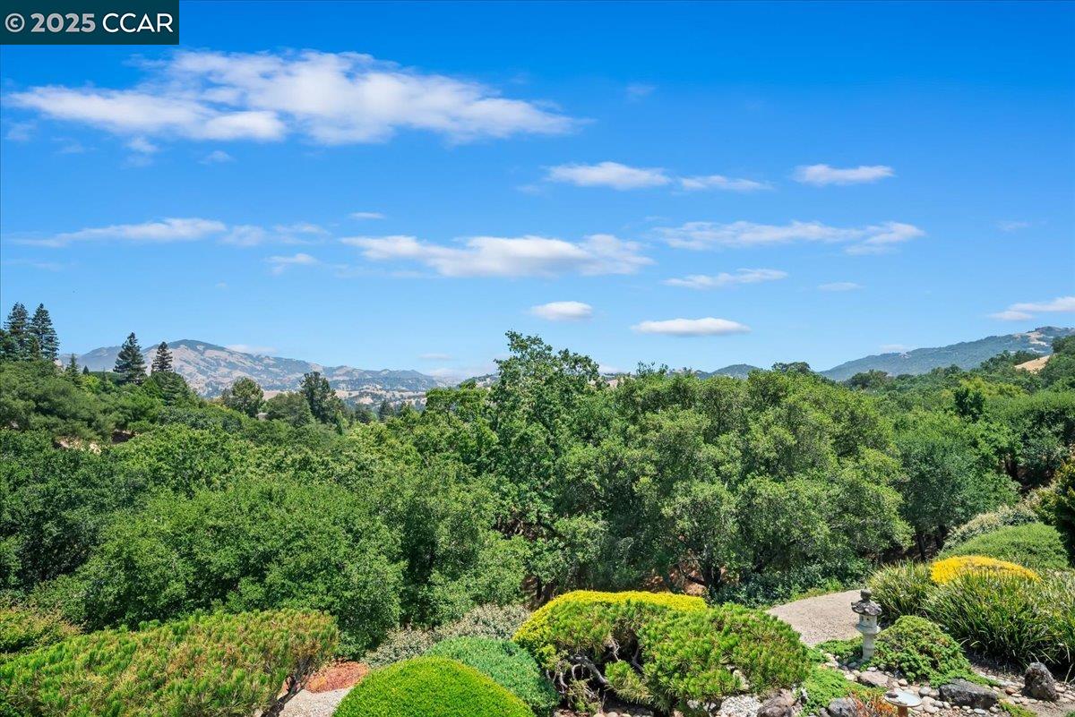 1429 Skycrest Dr # 3, Walnut Creek, California 94595, 3 Bedrooms Bedrooms, 6 Rooms Rooms,2 BathroomsBathrooms,Residential,For Sale,1429 Skycrest Dr # 3,41103423