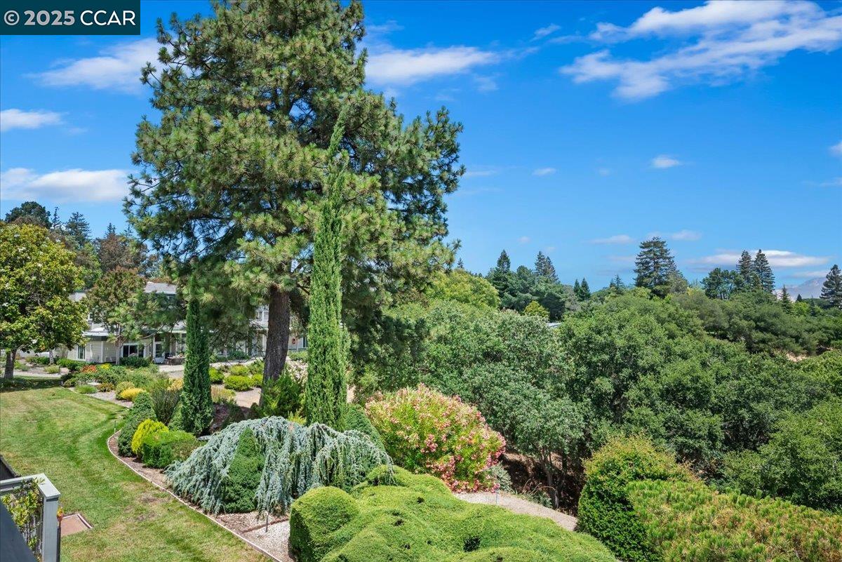 1429 Skycrest Dr # 3, Walnut Creek, California 94595, 3 Bedrooms Bedrooms, 6 Rooms Rooms,2 BathroomsBathrooms,Residential,For Sale,1429 Skycrest Dr # 3,41103423