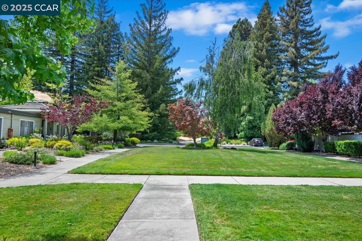 1429 Skycrest Dr # 3, Walnut Creek, California 94595, 3 Bedrooms Bedrooms, 6 Rooms Rooms,2 BathroomsBathrooms,Residential,For Sale,1429 Skycrest Dr # 3,41103423