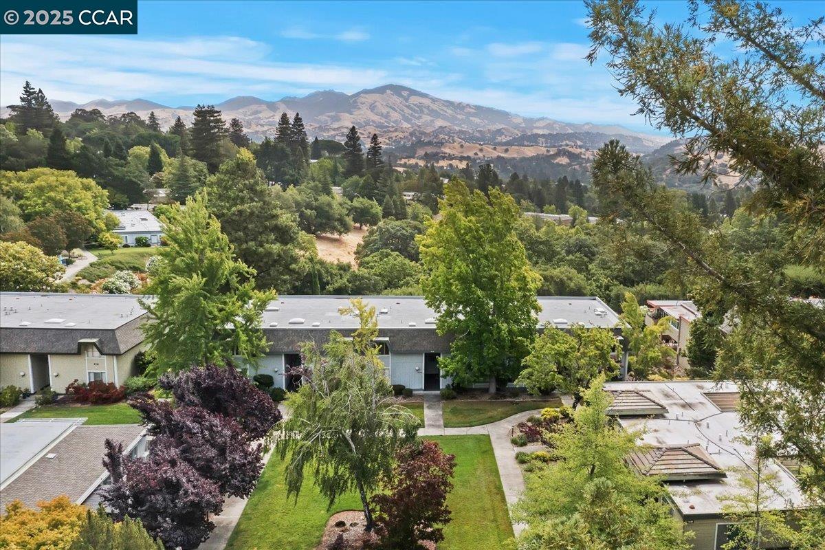 1429 Skycrest Dr # 3, Walnut Creek, California 94595, 3 Bedrooms Bedrooms, 6 Rooms Rooms,2 BathroomsBathrooms,Residential,For Sale,1429 Skycrest Dr # 3,41103423