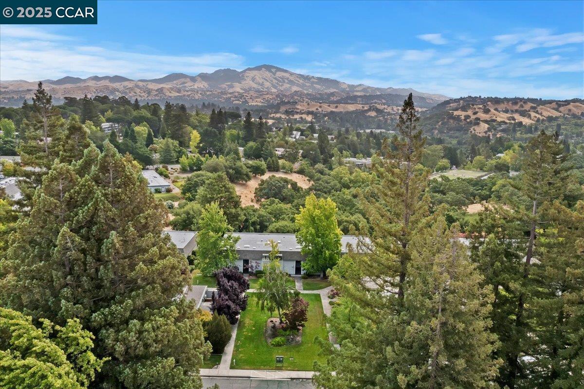 1429 Skycrest Dr # 3, Walnut Creek, California 94595, 3 Bedrooms Bedrooms, 6 Rooms Rooms,2 BathroomsBathrooms,Residential,For Sale,1429 Skycrest Dr # 3,41103423