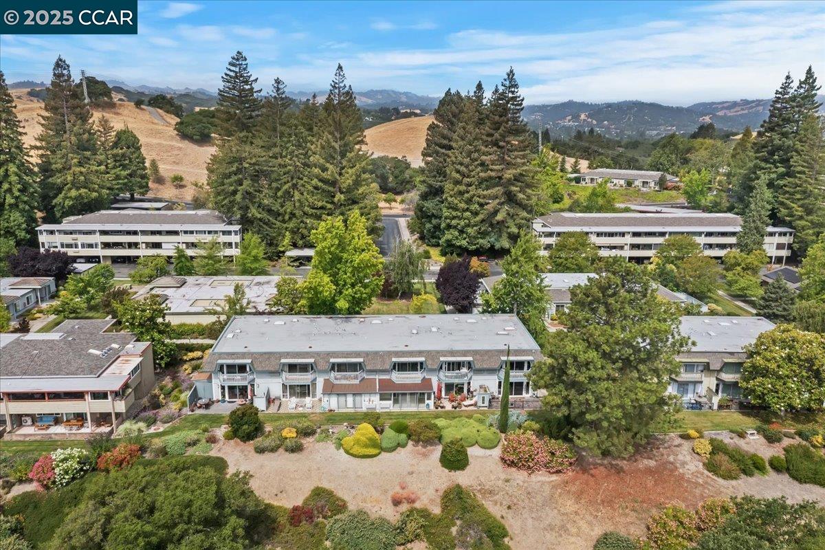 1429 Skycrest Dr # 3, Walnut Creek, California 94595, 3 Bedrooms Bedrooms, 6 Rooms Rooms,2 BathroomsBathrooms,Residential,For Sale,1429 Skycrest Dr # 3,41103423
