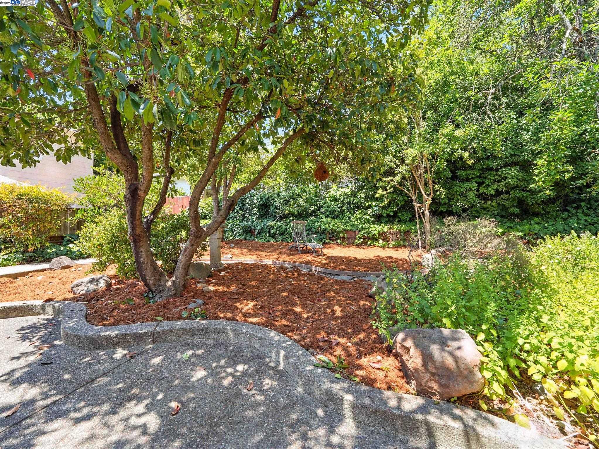 Detail Gallery Image 29 of 36 For 160 Moraga Way, Orinda,  CA 94563 - 3 Beds | 2/1 Baths