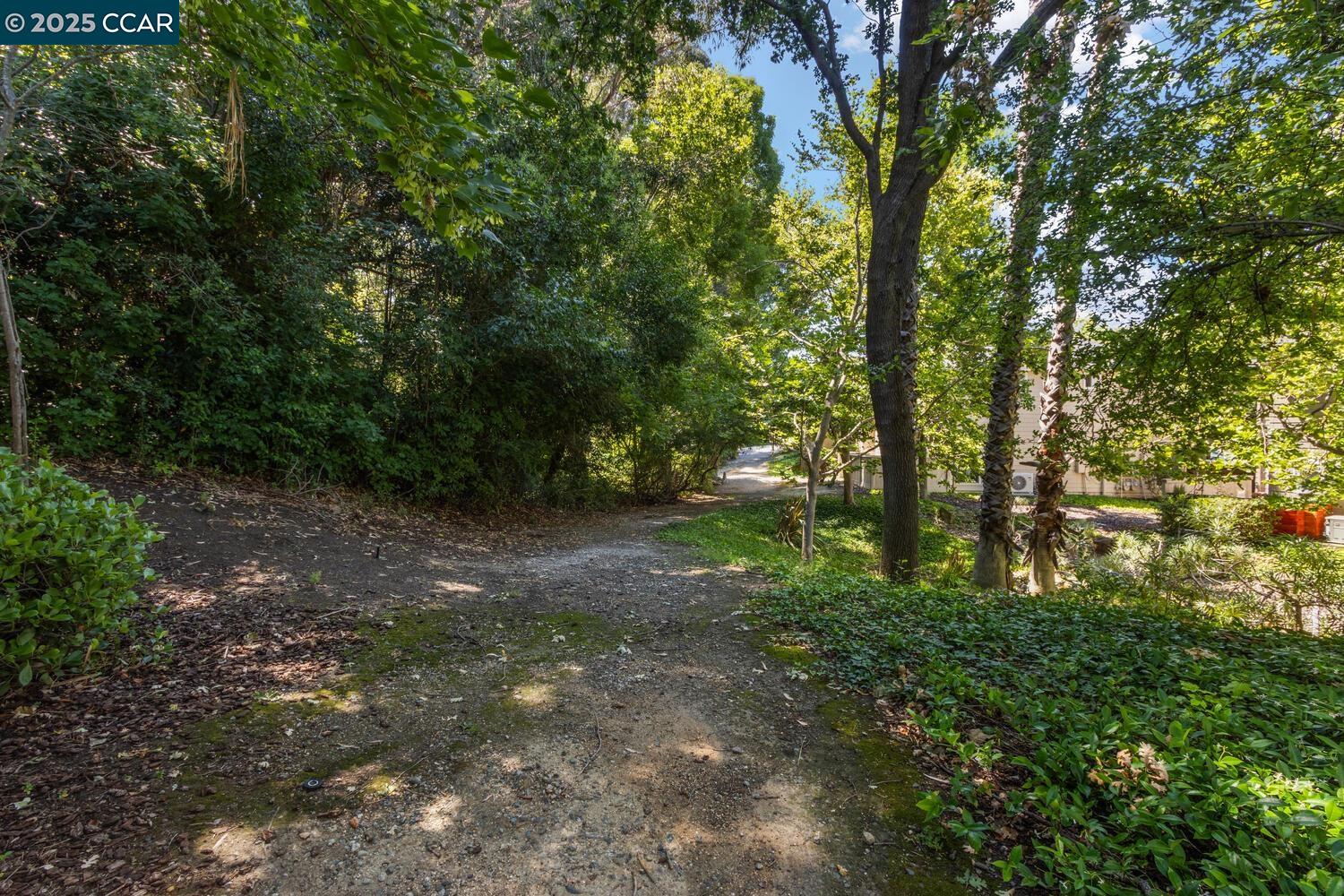 Photo #36: 41103497 Listing: Photo #36