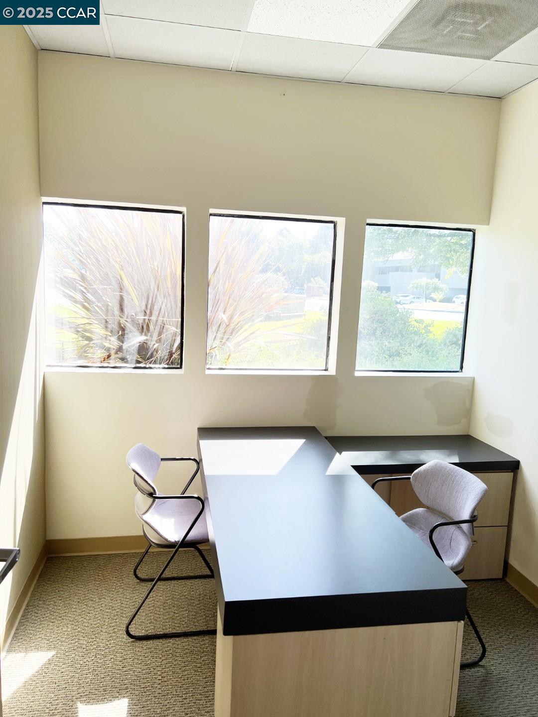 3223 Blume Dr, Richmond, California 94806, ,Commercial Lease,For Rent,3223 Blume Dr,41103509