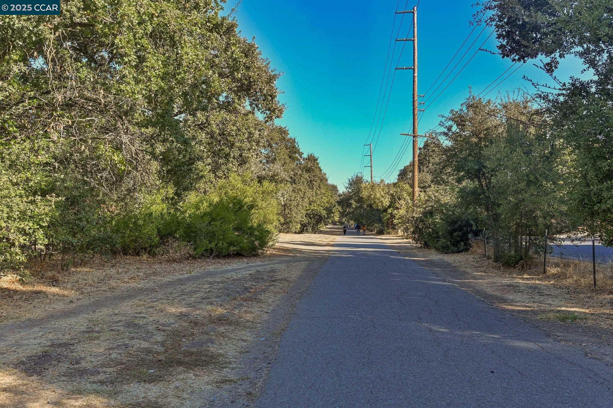 Photo #32: 41103539 Listing: Photo #32