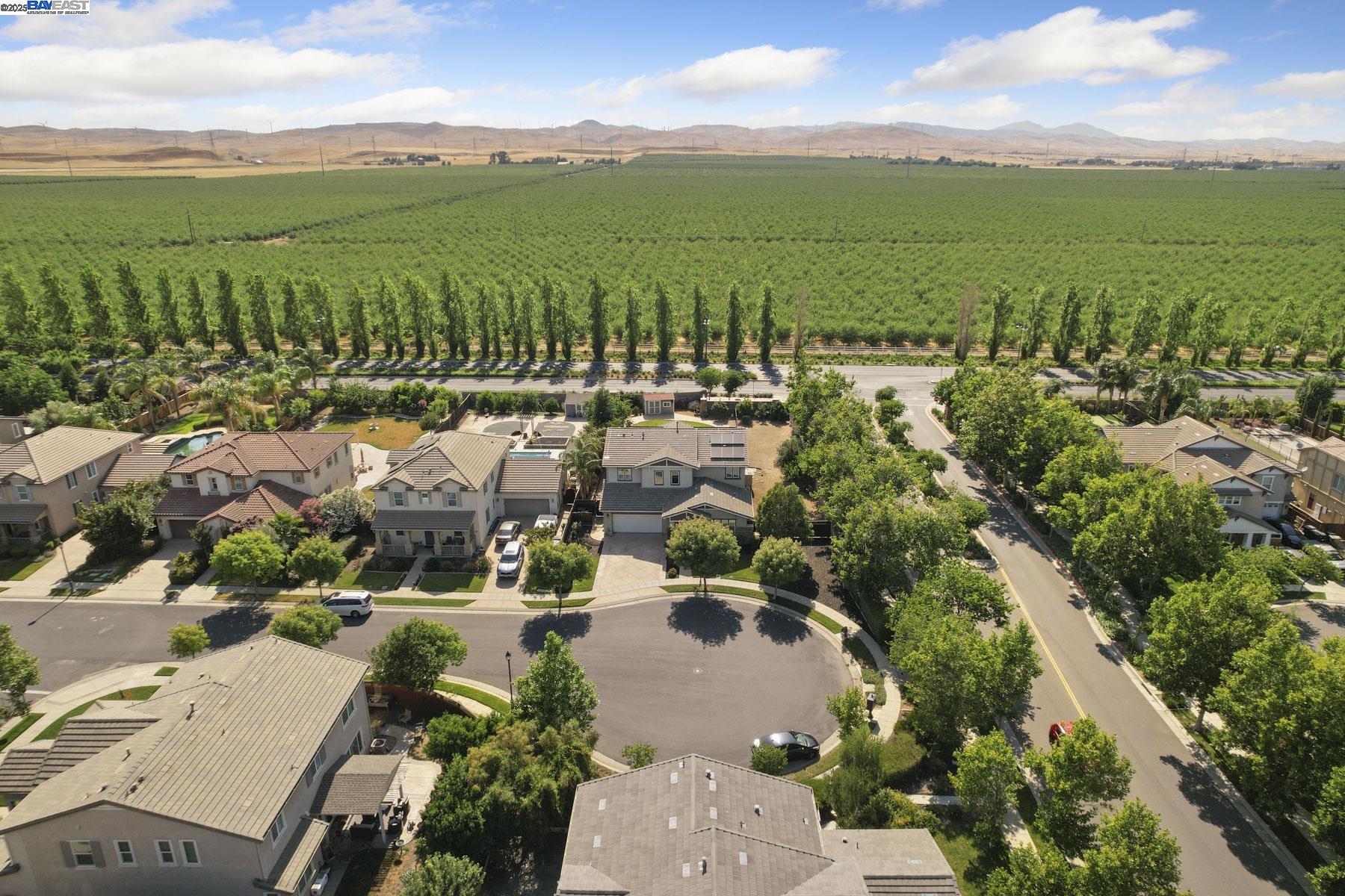 Detail Gallery Image 54 of 55 For 247 N Menlo Park Ct, Mountain House,  CA 95391 - 4 Beds | 3/1 Baths