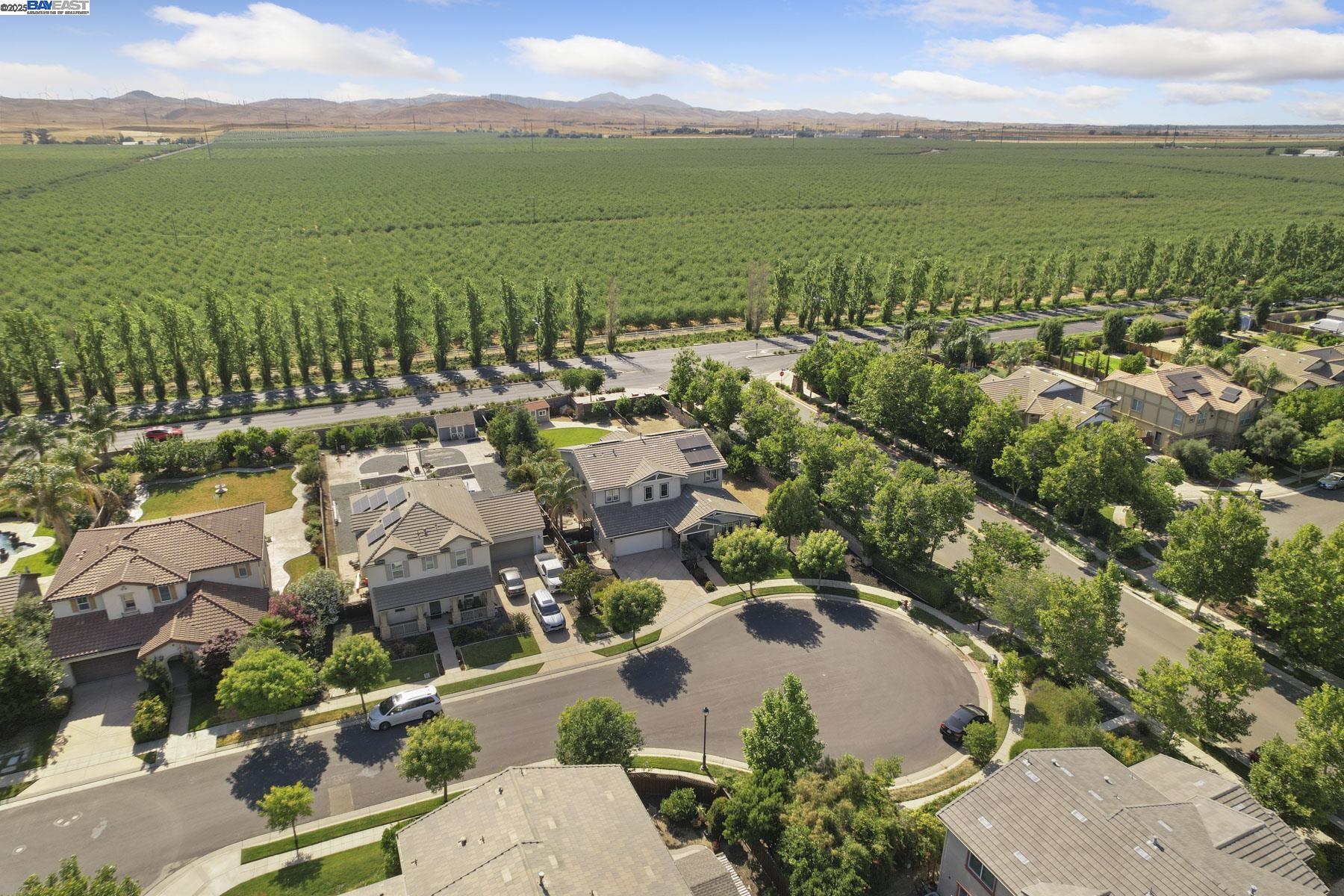 Detail Gallery Image 55 of 55 For 247 N Menlo Park Ct, Mountain House,  CA 95391 - 4 Beds | 3/1 Baths