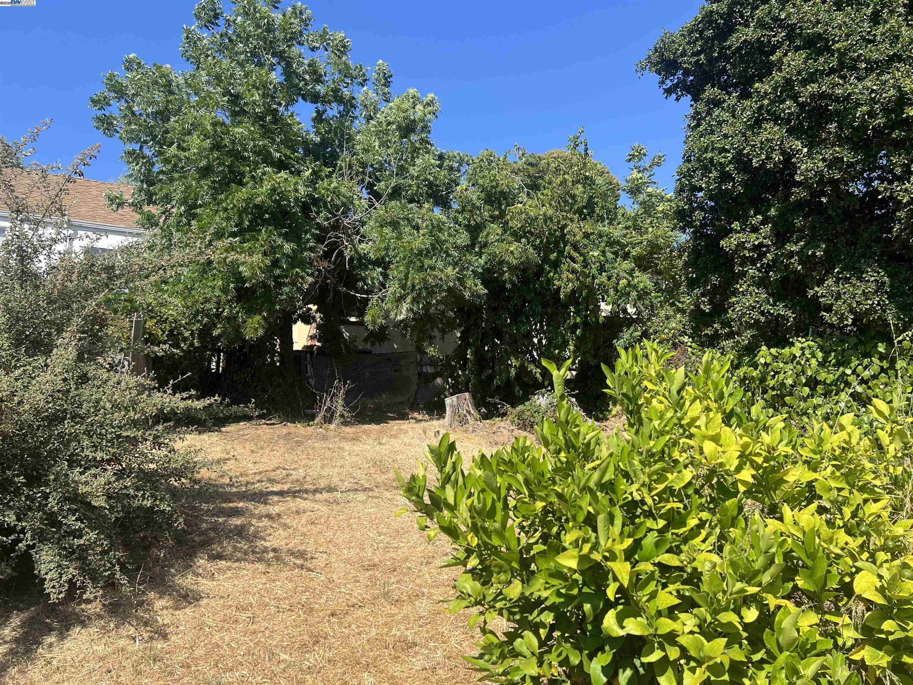 Detail Gallery Image 4 of 4 For 6908 Macarthur Blvd, Oakland,  CA 94605 - 3 Beds | 1/1 Baths