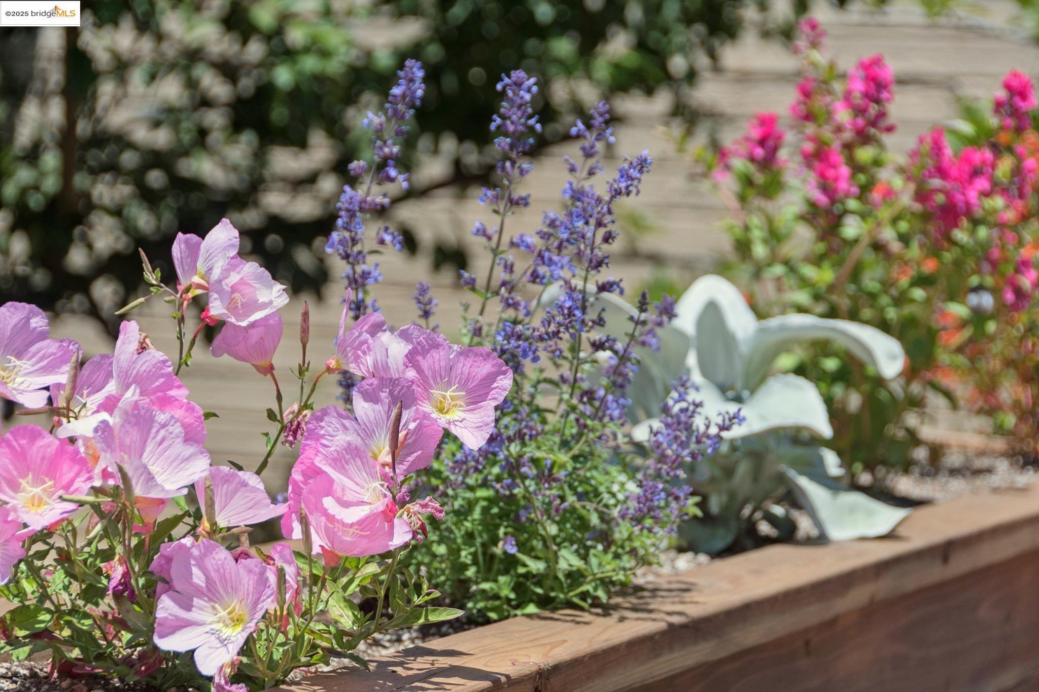 Detail Gallery Image 24 of 34 For 2634 Acton, Berkeley,  CA 94702 - 2 Beds | 1 Baths
