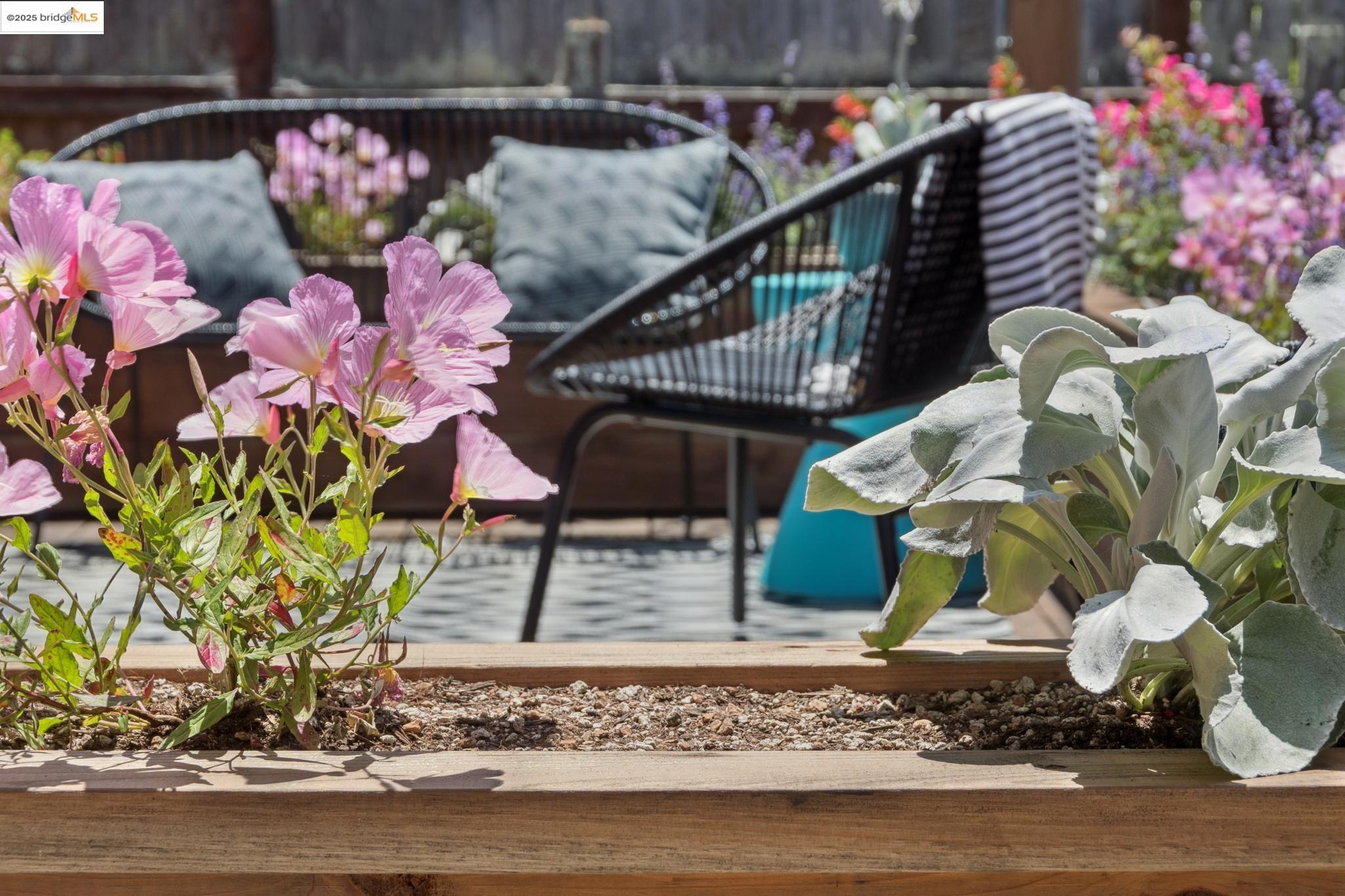 Detail Gallery Image 25 of 34 For 2634 Acton, Berkeley,  CA 94702 - 2 Beds | 1 Baths
