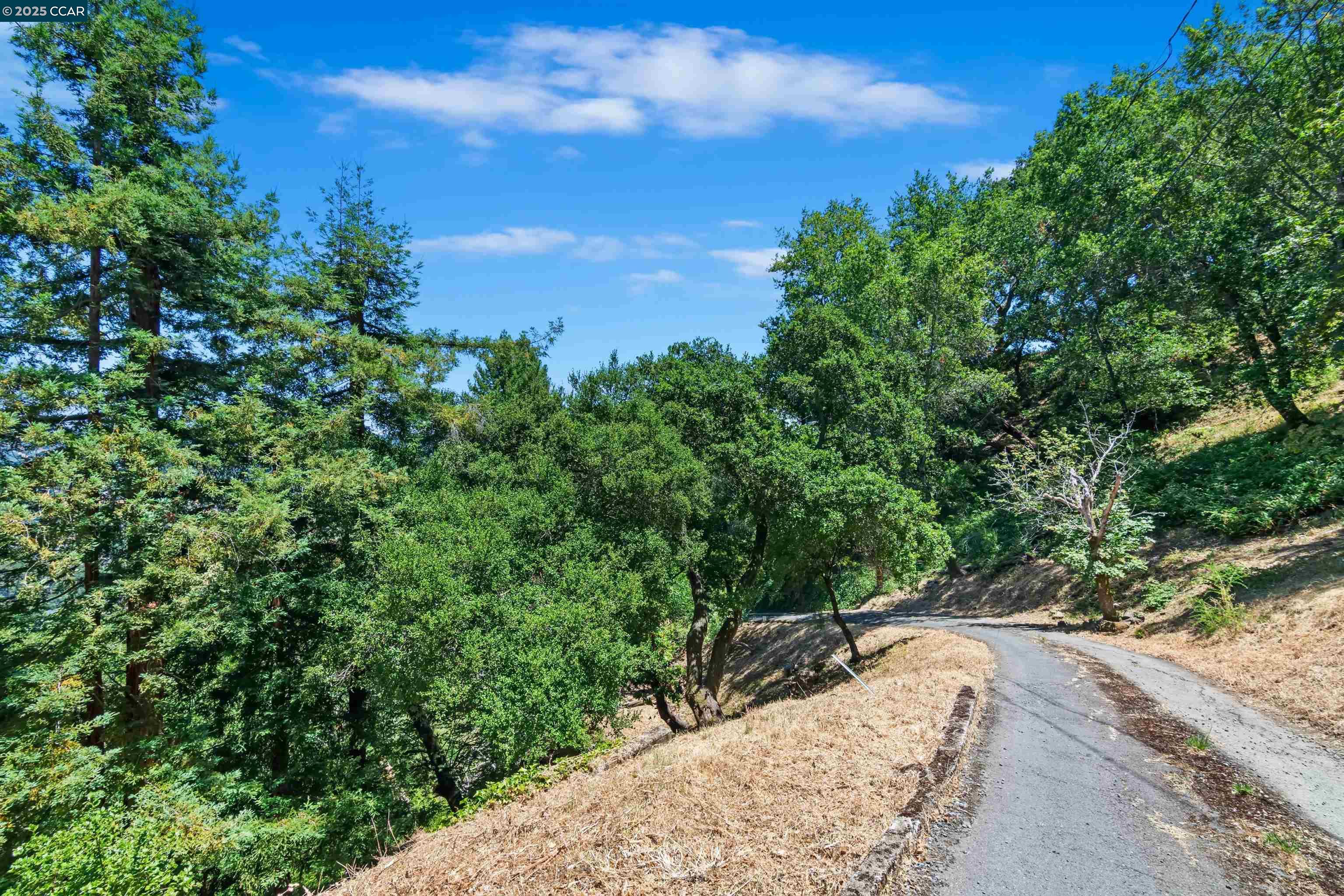 Detail Gallery Image 47 of 59 For 85 La Encinal, Orinda,  CA 94563 - 2 Beds | 1/1 Baths