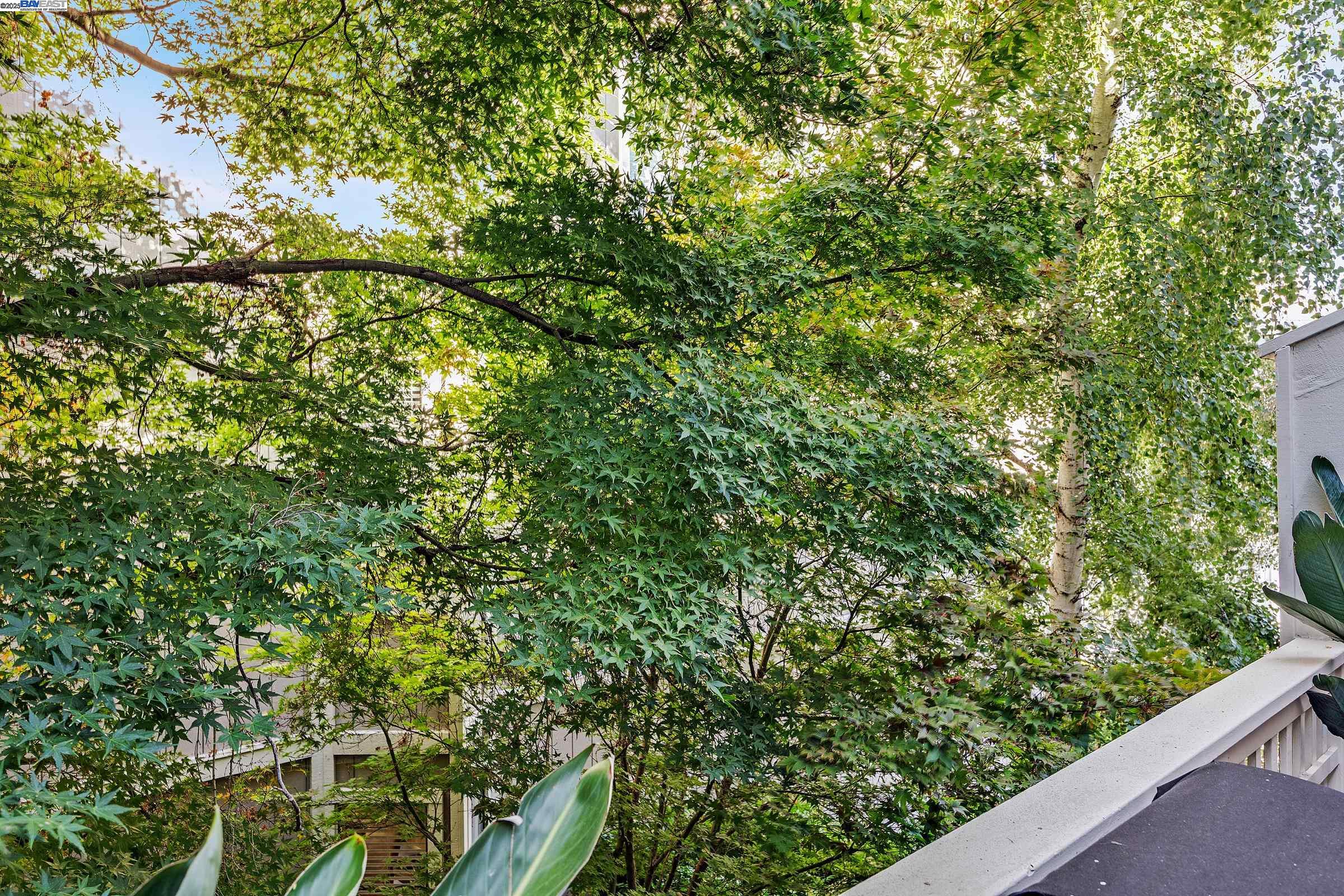 Photo #2: 41103612 Listing 