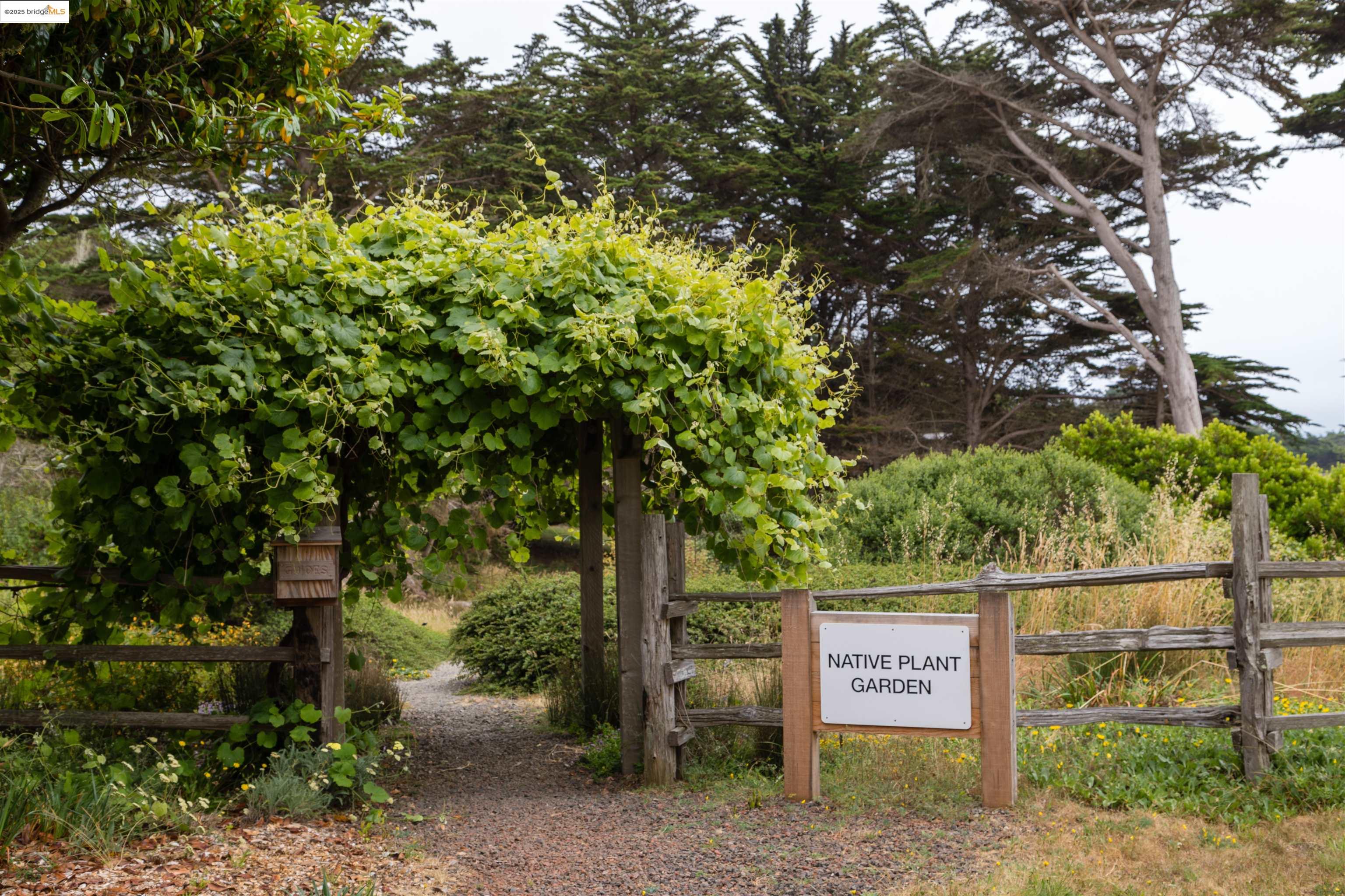 275 Broad Reach, The Sea Ranch, California 95497, 2 Bedrooms Bedrooms, 5 Rooms Rooms,2 BathroomsBathrooms,Residential,For Sale,275 Broad Reach,41103654