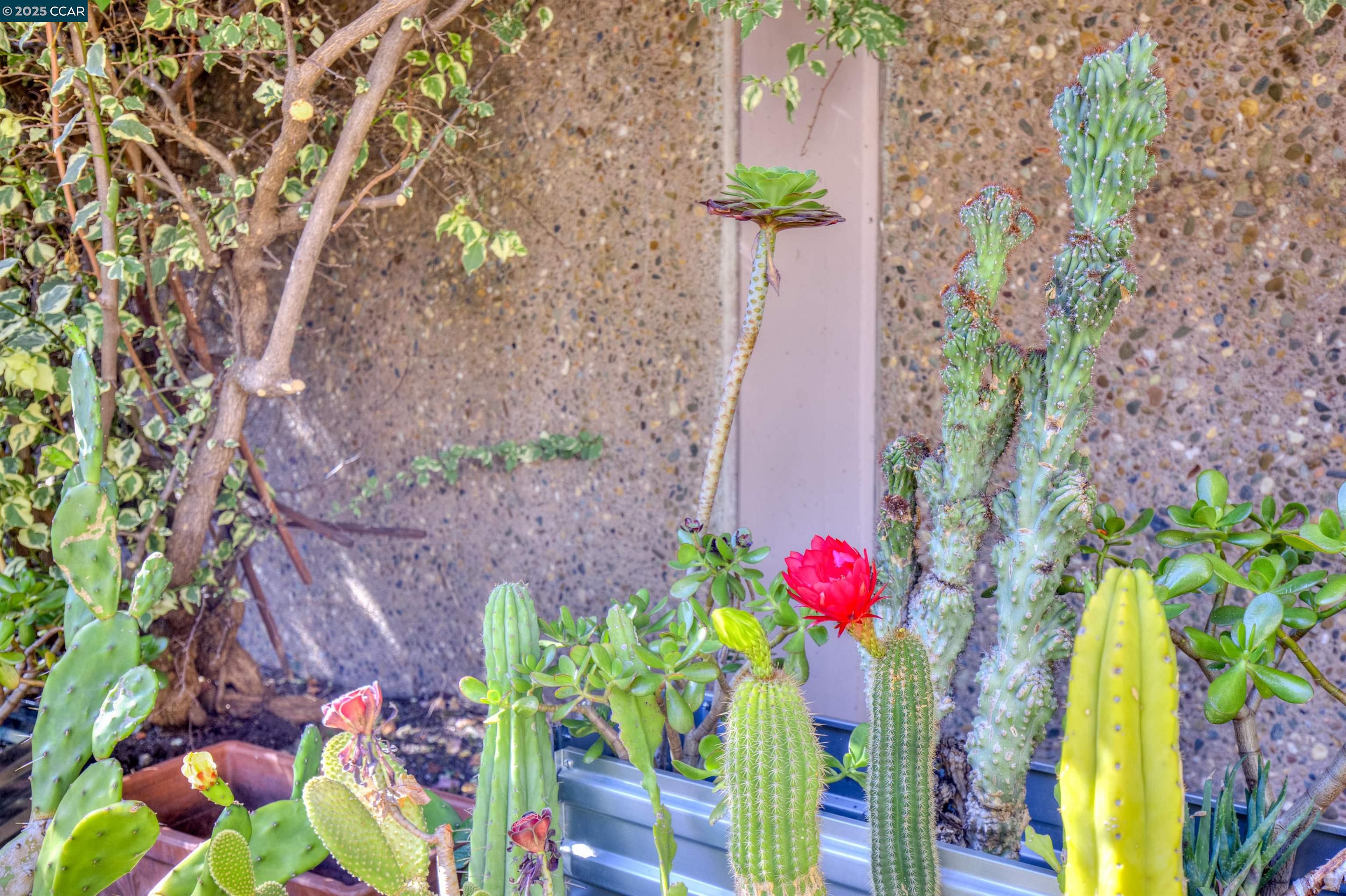 Detail Gallery Image 11 of 30 For Carmel Dr, Walnut Creek,  CA 94596 - 2 Beds | 1/1 Baths