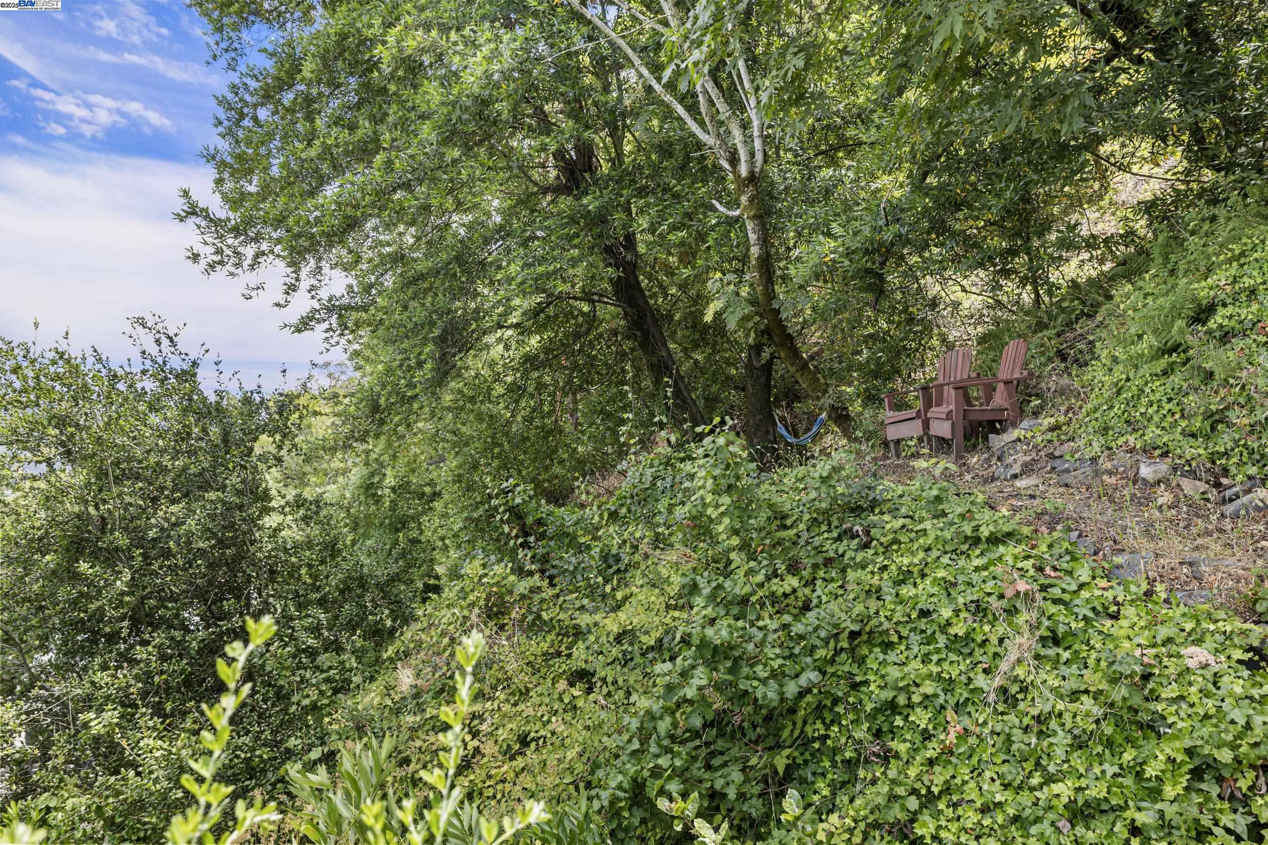 Detail Gallery Image 23 of 27 For 12 South Trl, Orinda,  CA 94563 - 3 Beds | 2 Baths