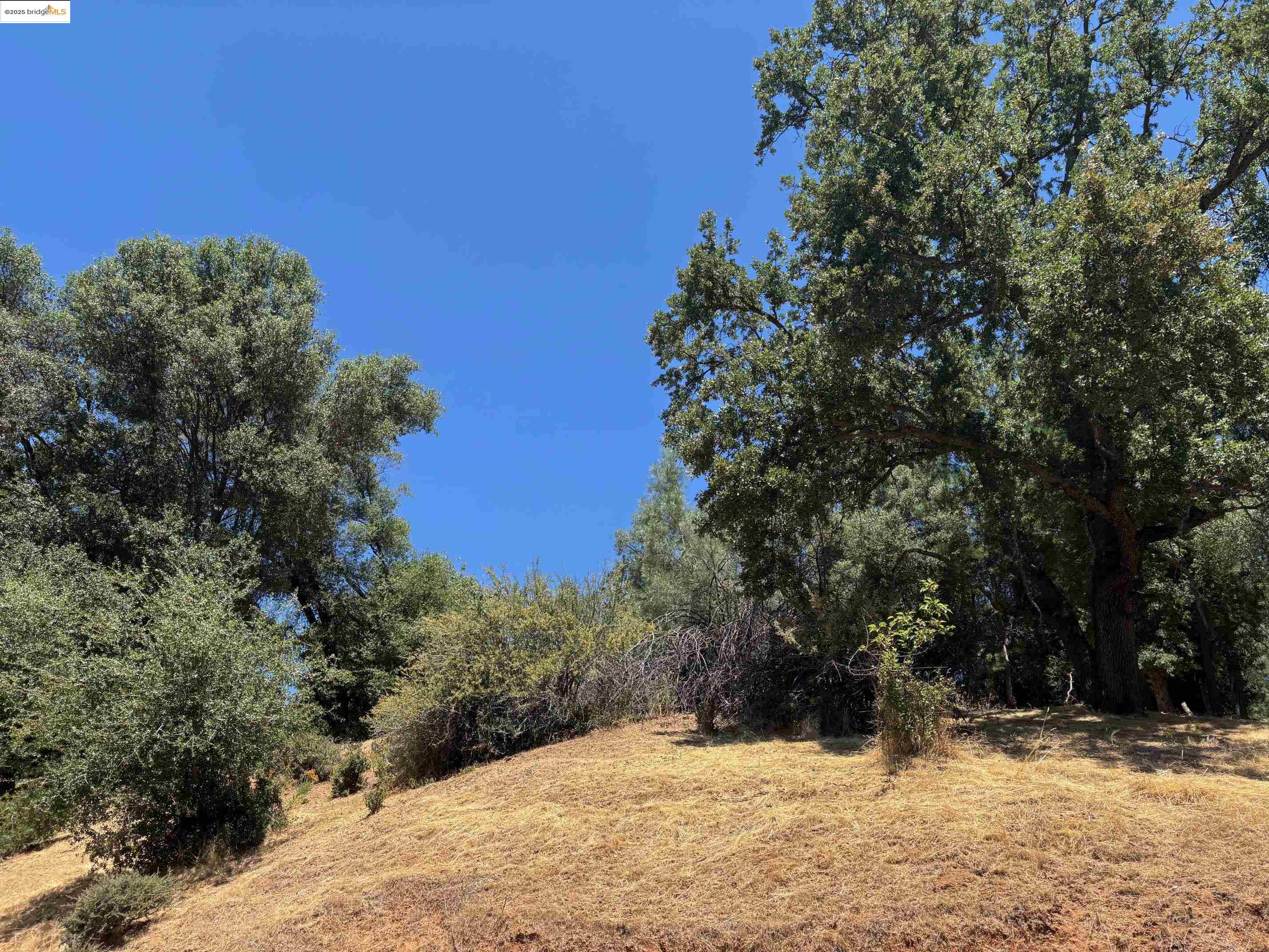 Detail Gallery Image 23 of 33 For 19940 Deerbrush Ct., Groveland,  CA 95321-9414 - 3 Beds | 2 Baths
