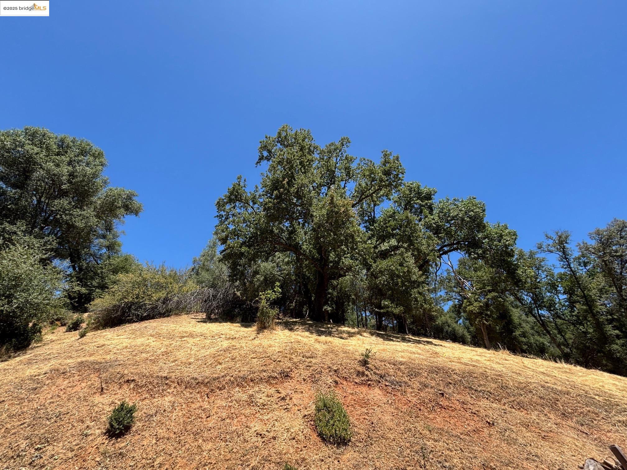 Detail Gallery Image 26 of 33 For 19940 Deerbrush Ct., Groveland,  CA 95321-9414 - 3 Beds | 2 Baths