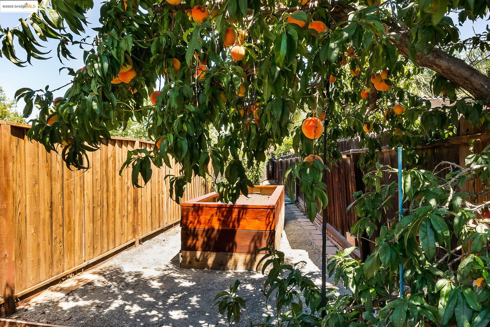 Detail Gallery Image 51 of 59 For 38 Grand Canyon Cir, Oakley,  CA 94561 - 4 Beds | 3 Baths