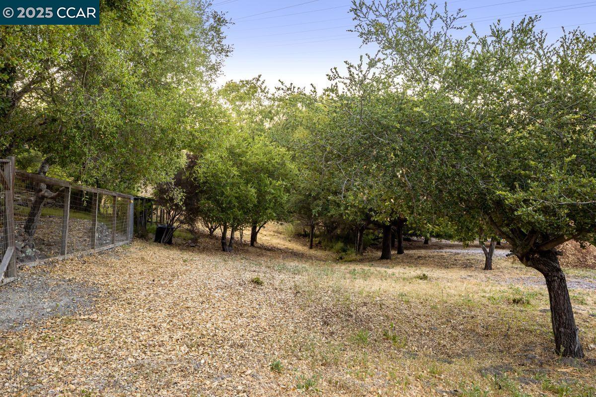 Detail Gallery Image 31 of 31 For 97 Oak Rd, Orinda,  CA 94563 - 4 Beds | 3/1 Baths