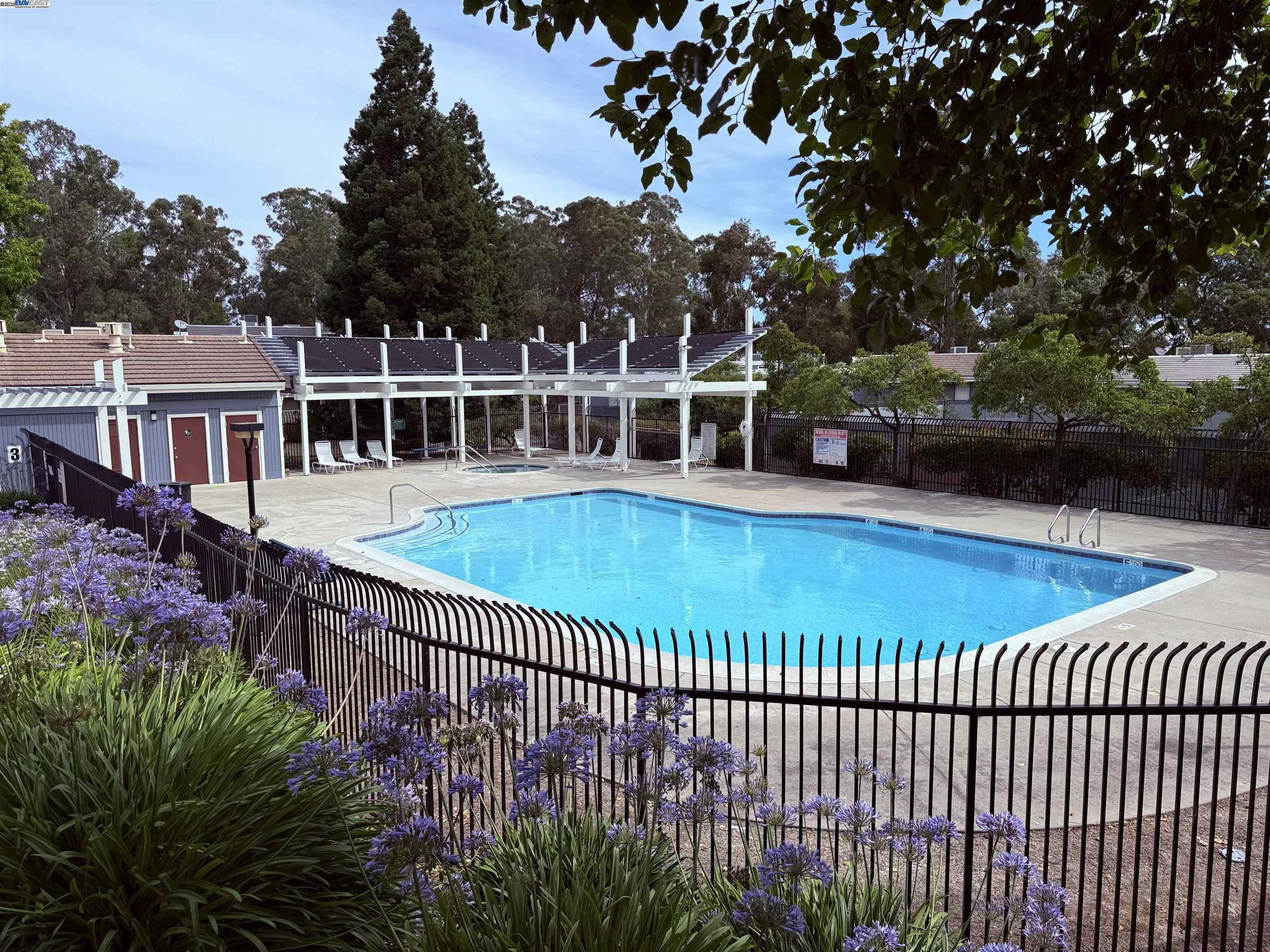 Photo #6: 41103838 Listing 