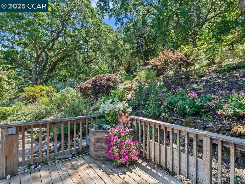 Detail Gallery Image 45 of 60 For 27 Toledo Dr, Lafayette,  CA 94549 - 5 Beds | 3/1 Baths