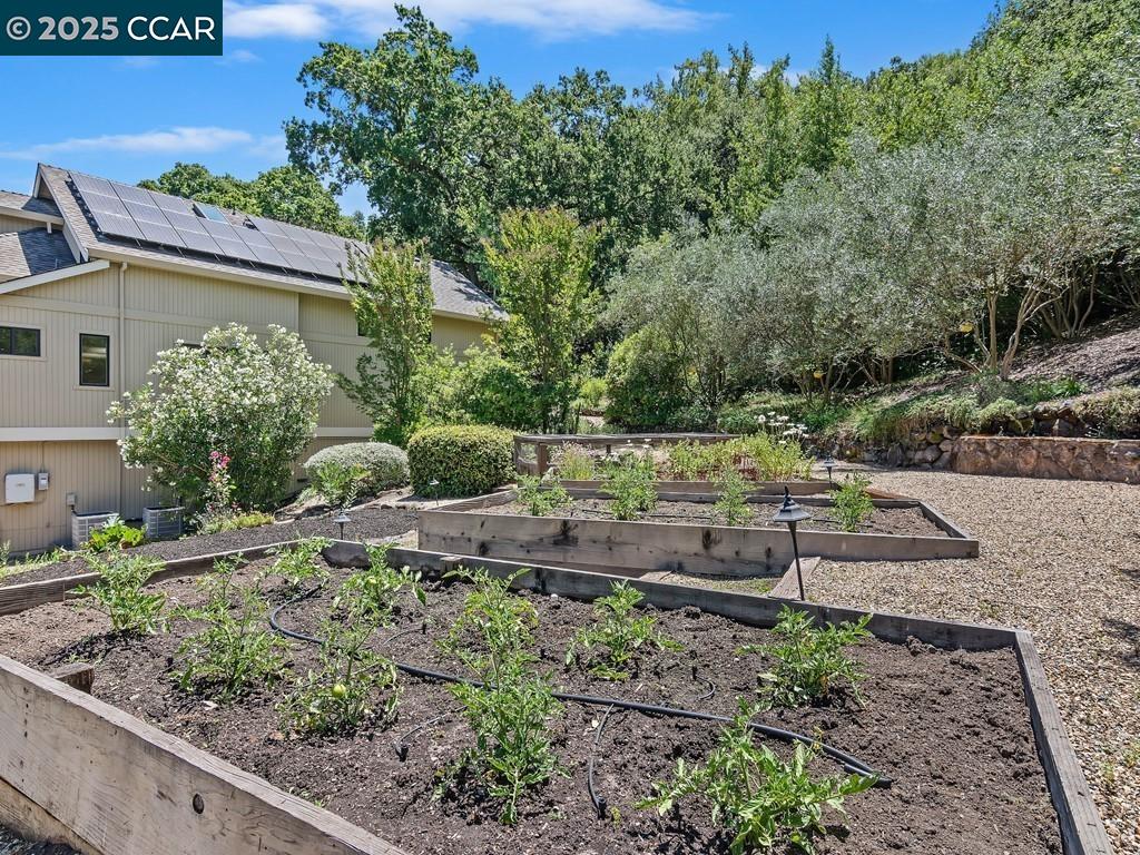 Detail Gallery Image 50 of 60 For 27 Toledo Dr, Lafayette,  CA 94549 - 5 Beds | 3/1 Baths