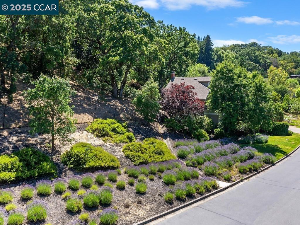 Detail Gallery Image 54 of 60 For 27 Toledo Dr, Lafayette,  CA 94549 - 5 Beds | 3/1 Baths