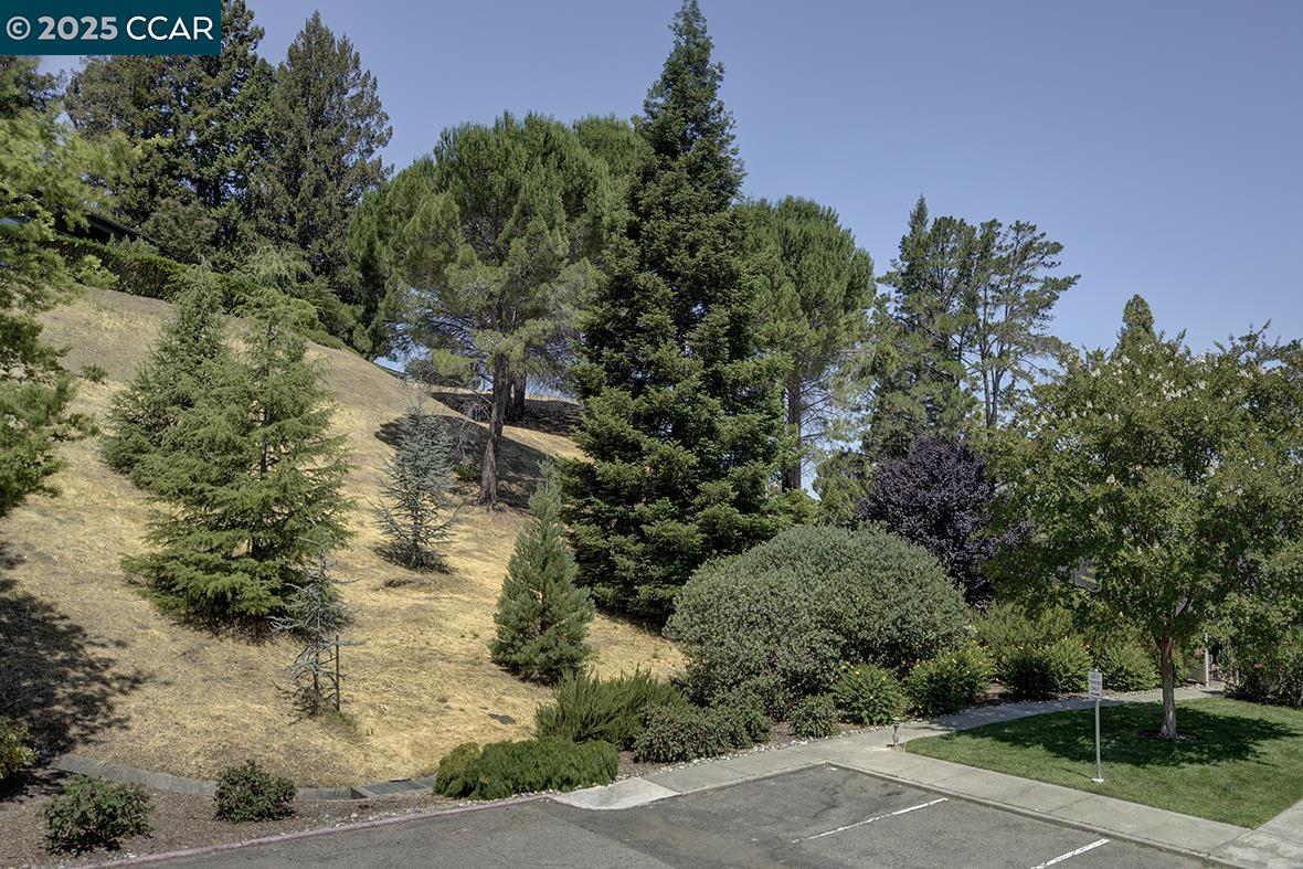 Photo #12: 41103868 Listing: Photo #12