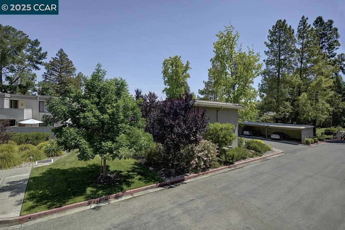 Photo #13: 41103868 Listing: Photo #13