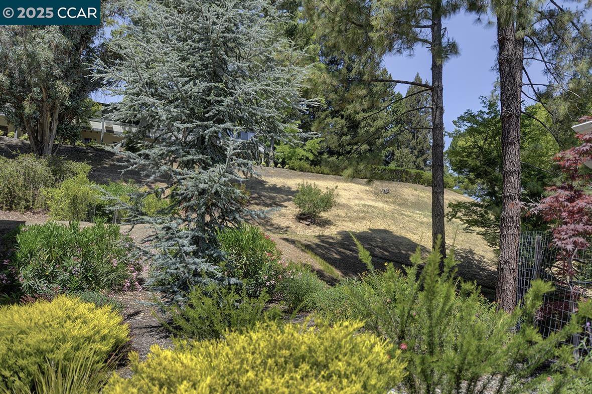 Photo #39: 41103868 Listing: Photo #39